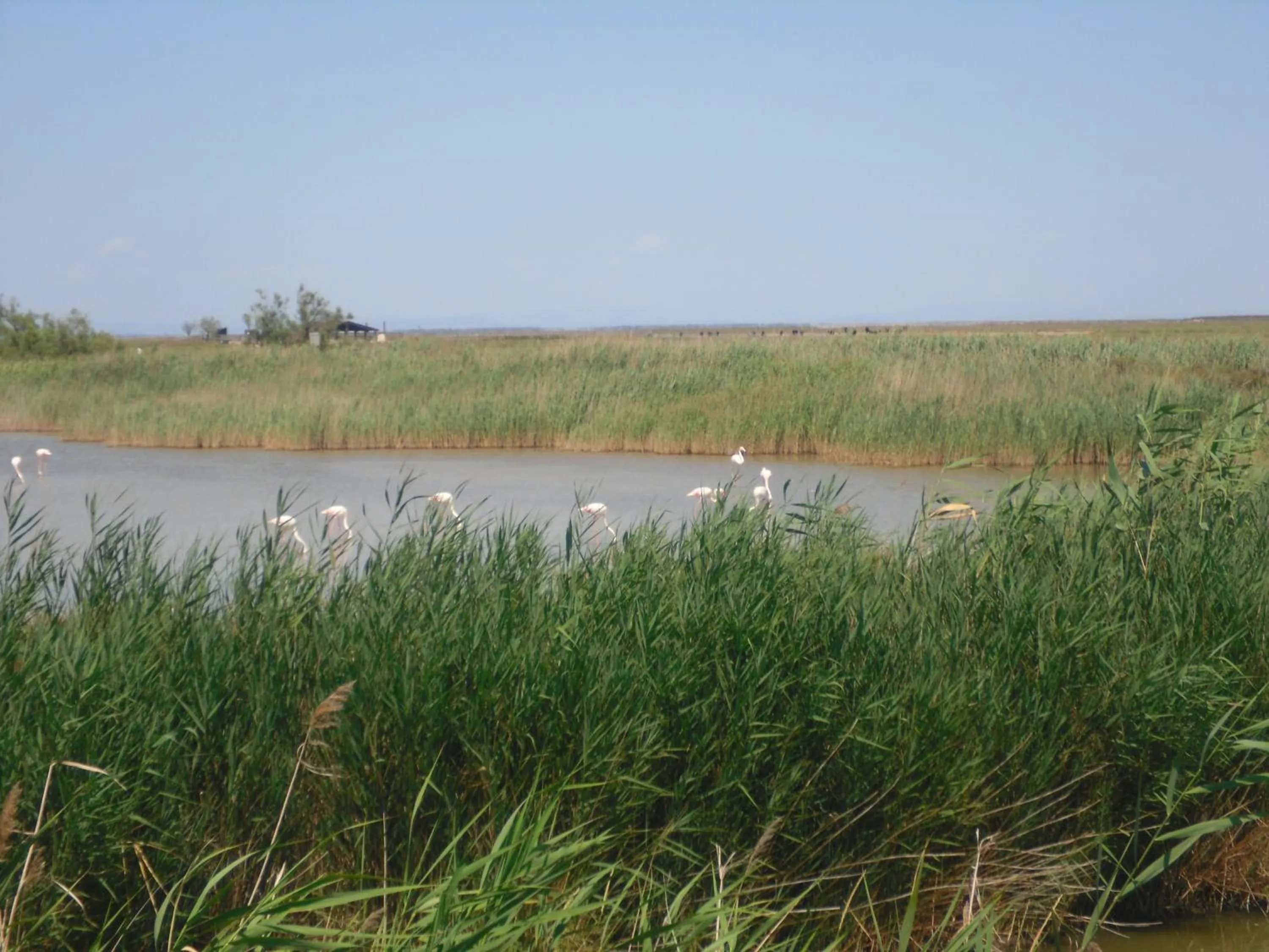 Natural landscape in Chambre les flamants, climatisation, avec vue imprenable sur les étangs, petit déjeuner offert