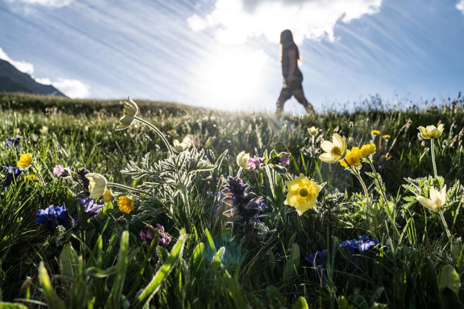 Spring in Prunner Luxury Suites - Adults Only