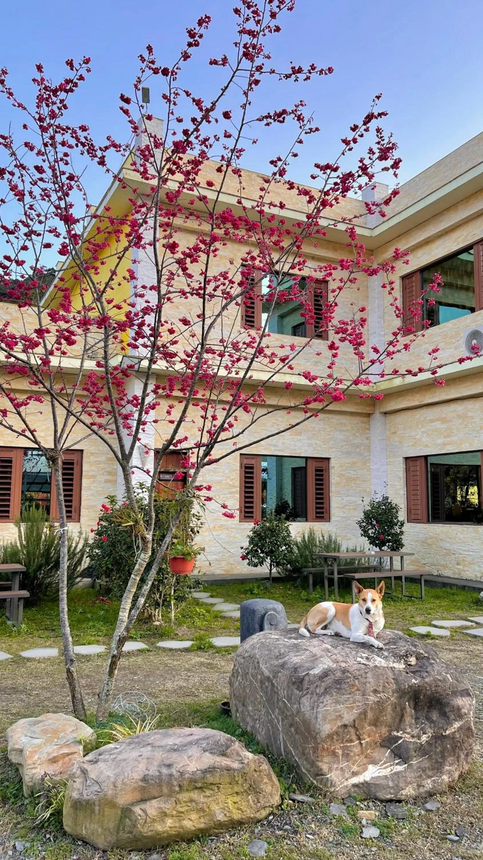 春陽溫泉一品居 ChunYang Homestay hot spring