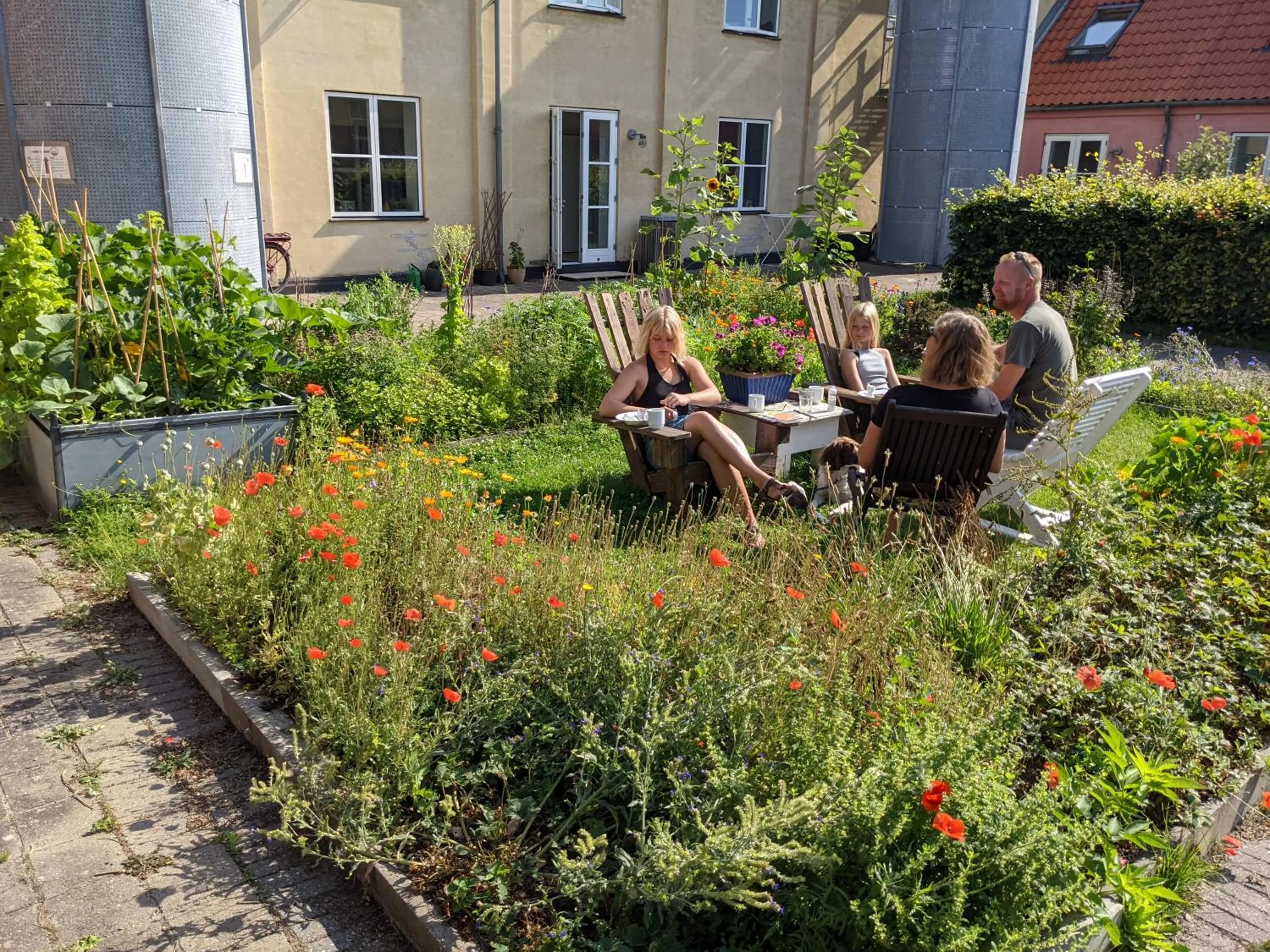Garden in Nexø Modern Hostel. Private Rooms