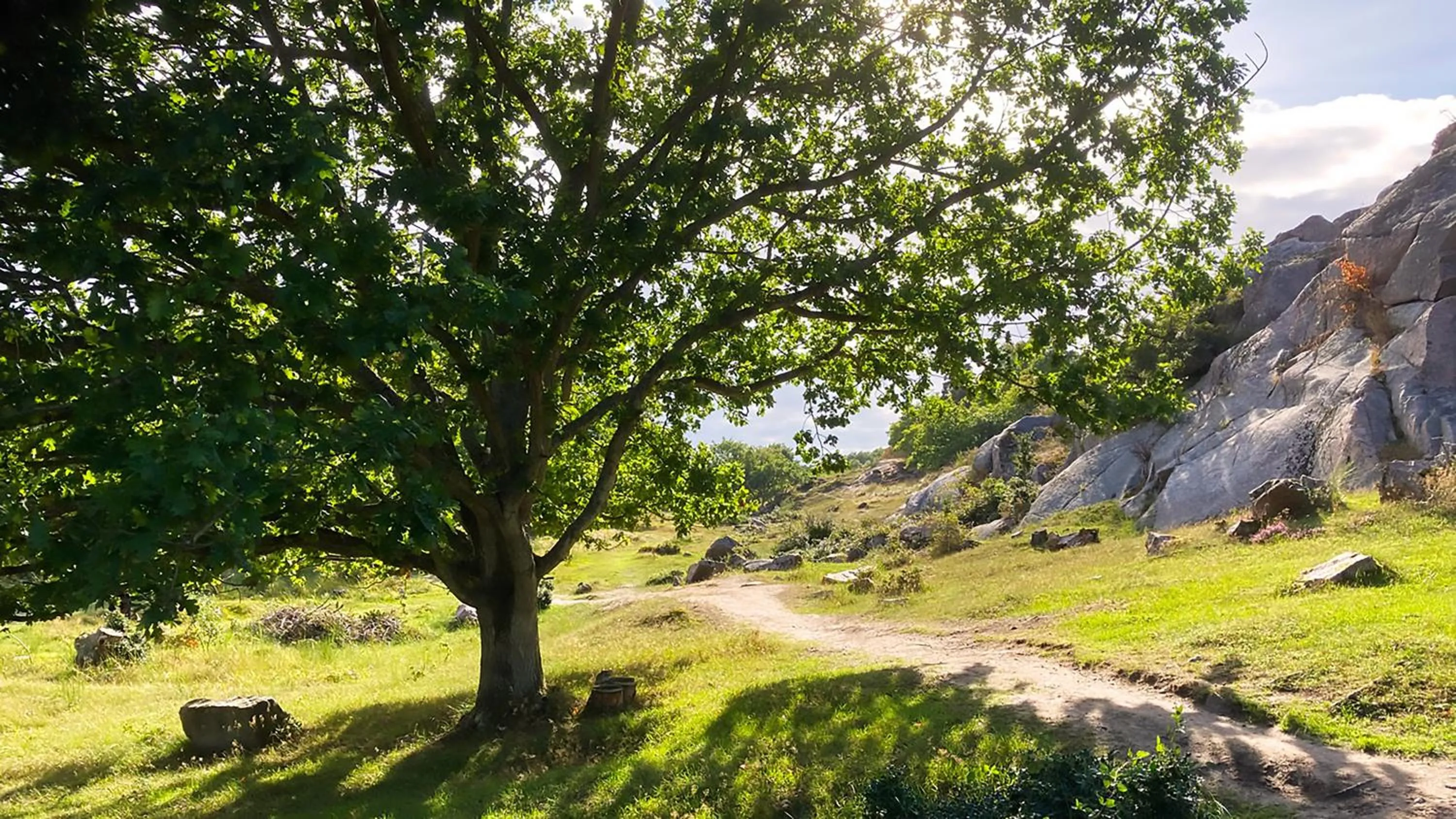 Hiking in Nexø Modern Hostel. Private Rooms