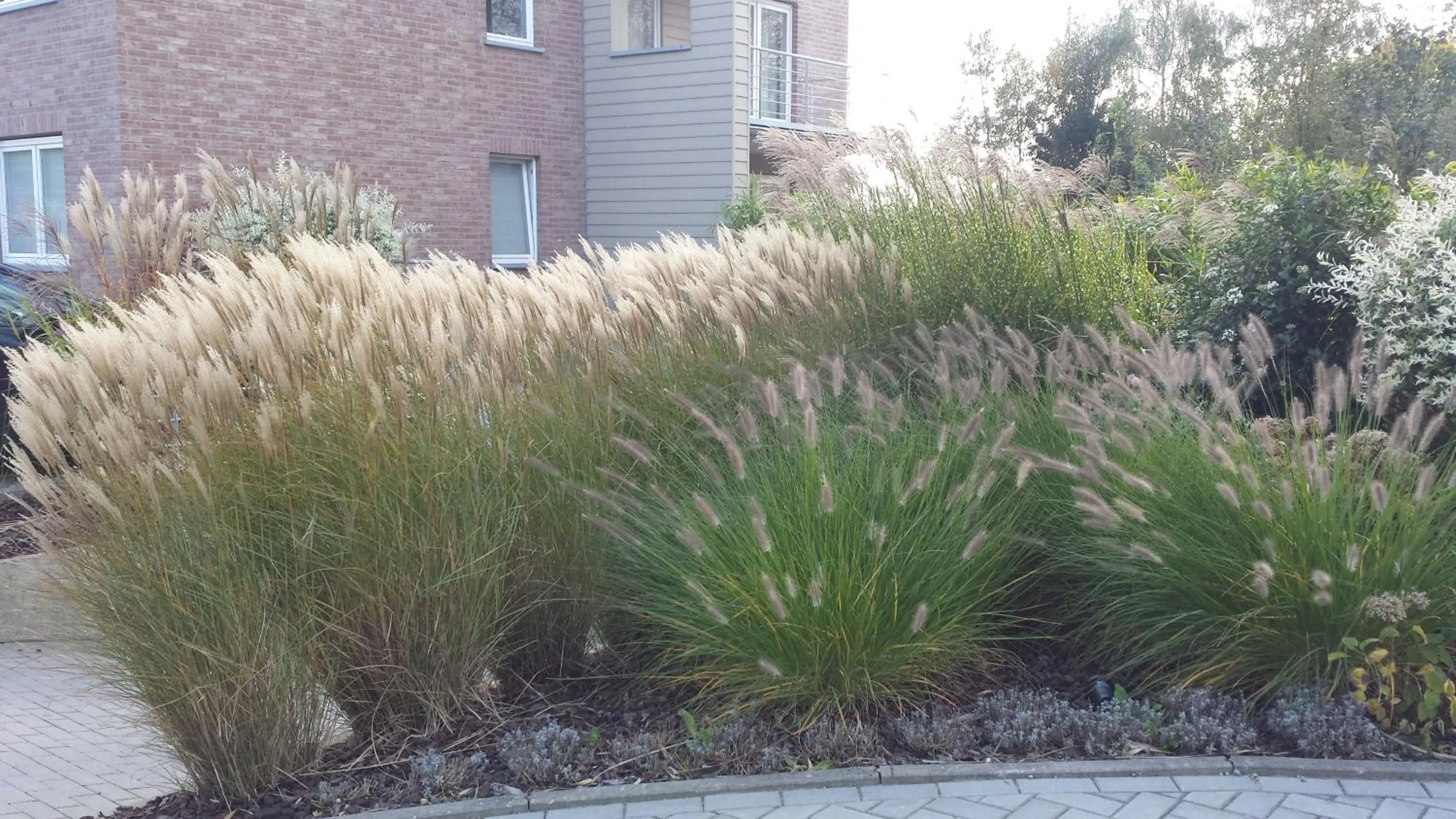 View (from property/room) in Hotel Piano 2 - Mont-St-Guibert - Louvain-la-Neuve