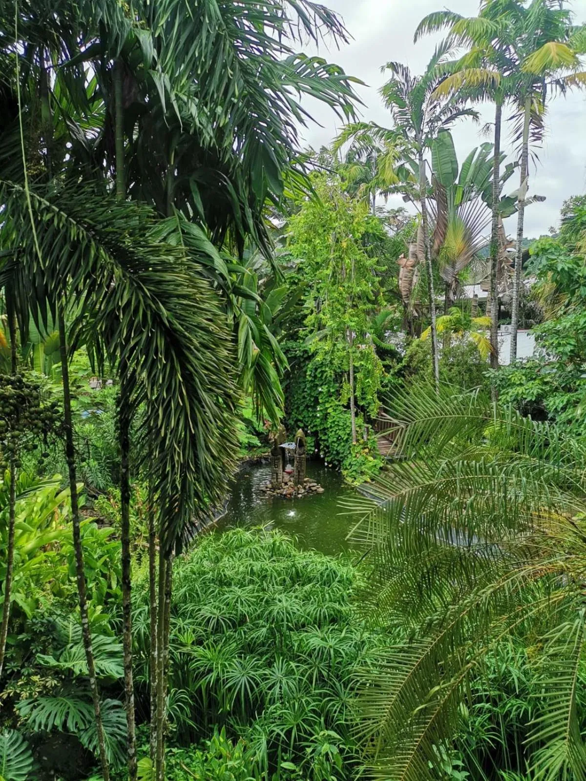 Garden view in Diuwak