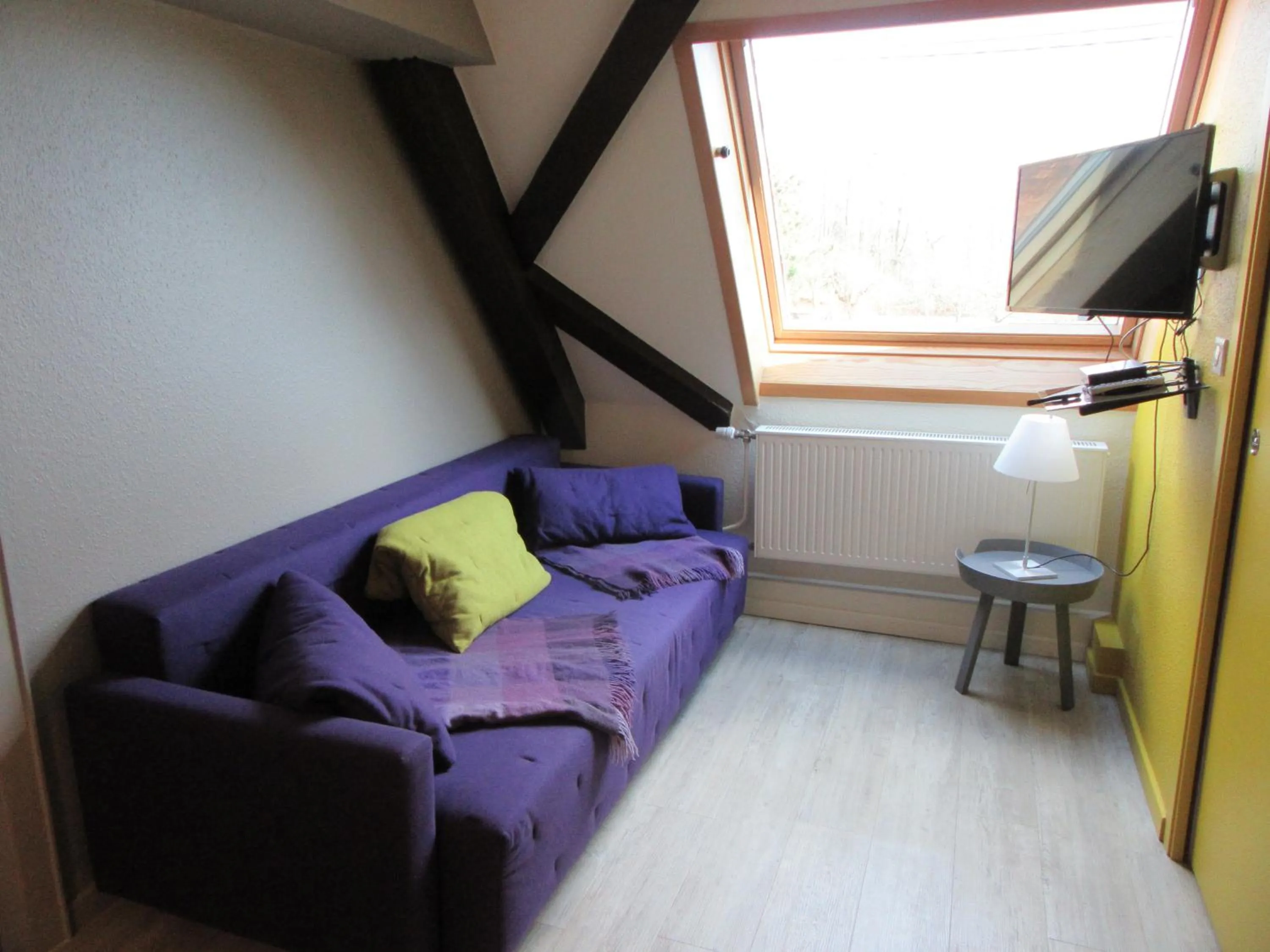 Living room in Gîtes et chambres d'hôtes Maison Ungerer