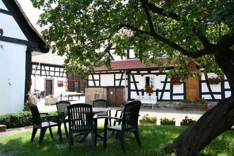 Garden in Gîtes et chambres d'hôtes Maison Ungerer