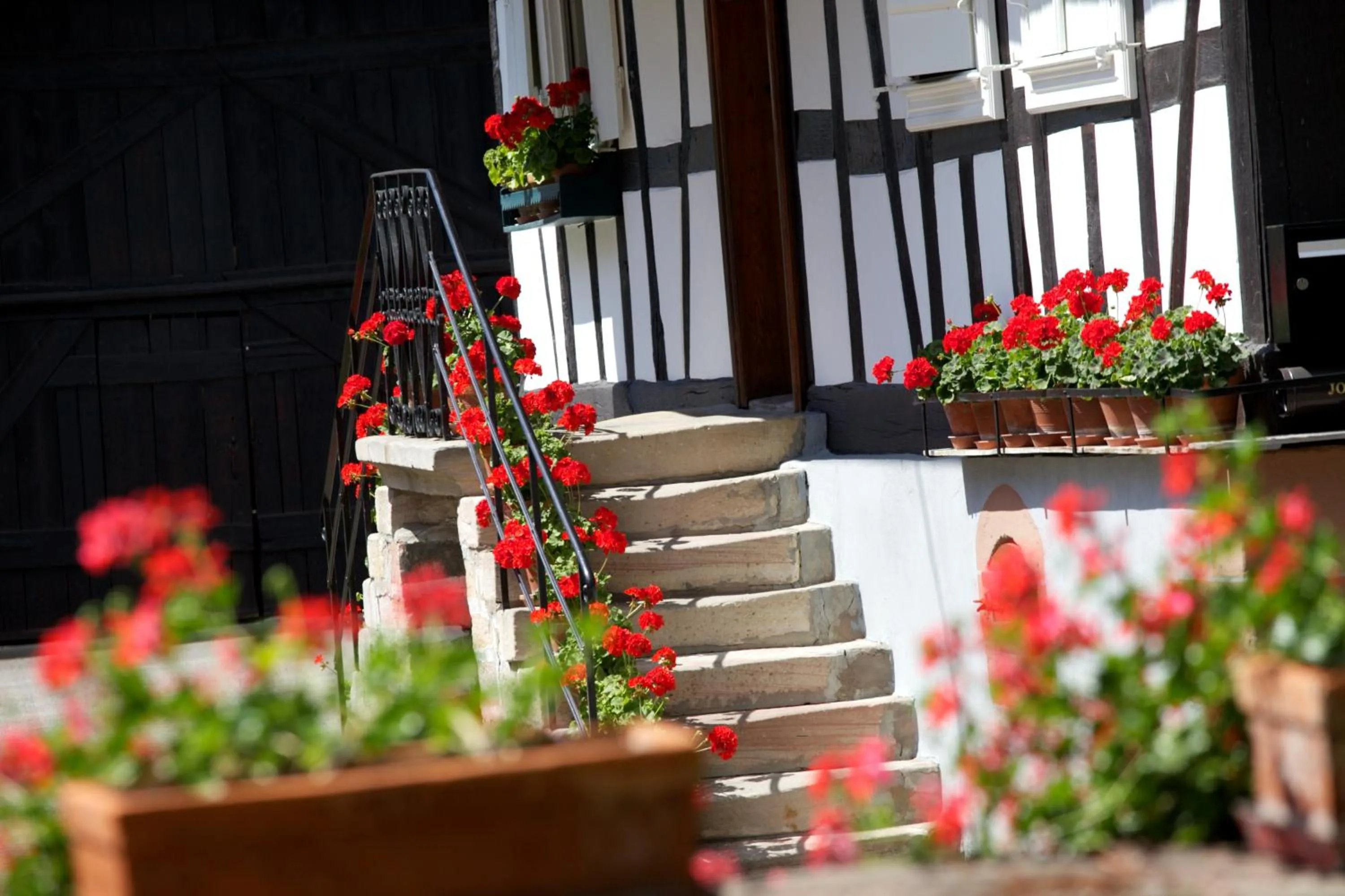 Nearby landmark in Gîtes et chambres d'hôtes Maison Ungerer