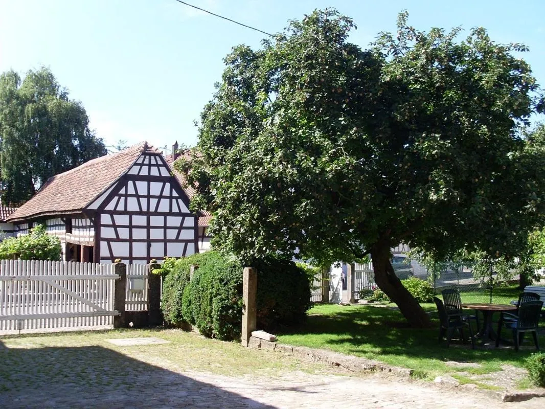 Garden view in Gîtes et chambres d'hôtes Maison Ungerer
