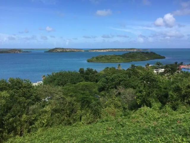 Day in Ellen Bay Inn