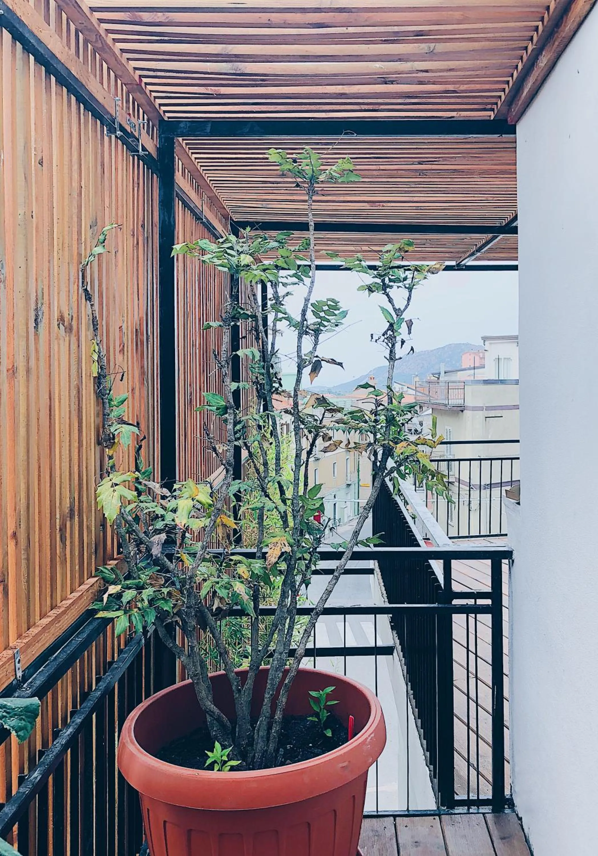 Property building in Casa Anna