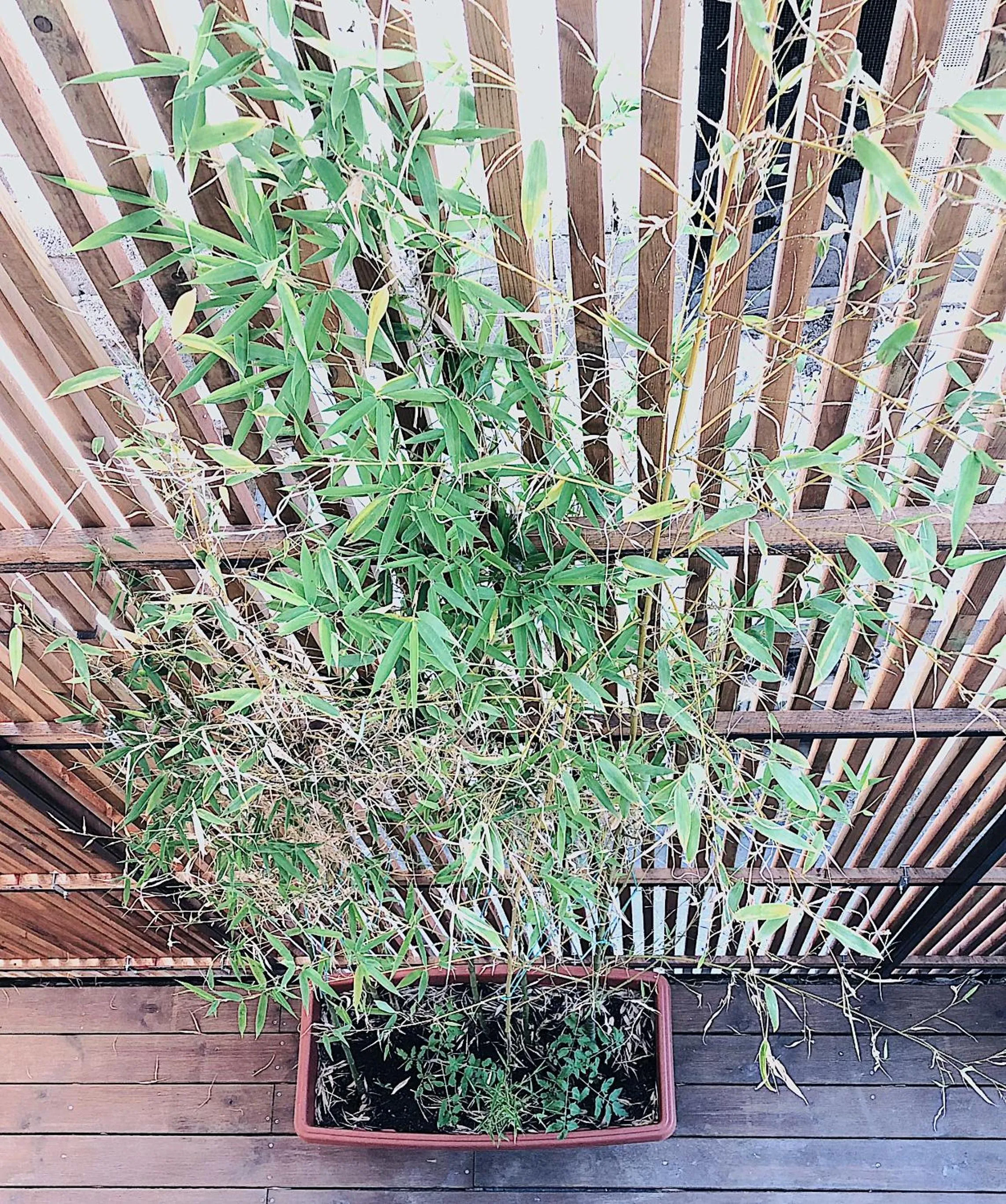 Property building in Casa Anna