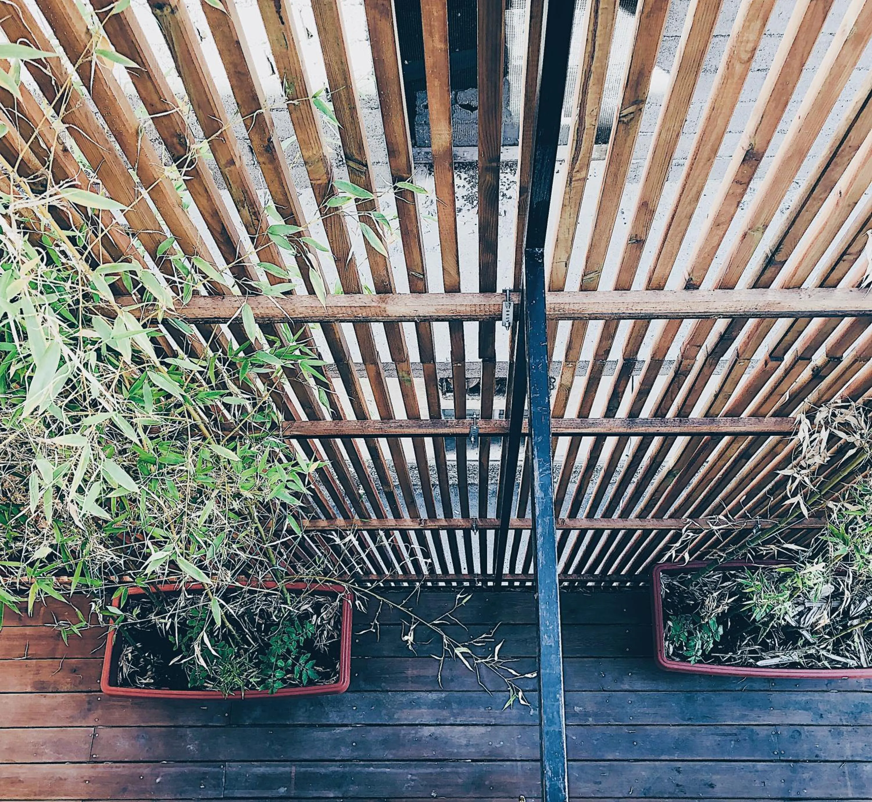 Property building in Casa Anna