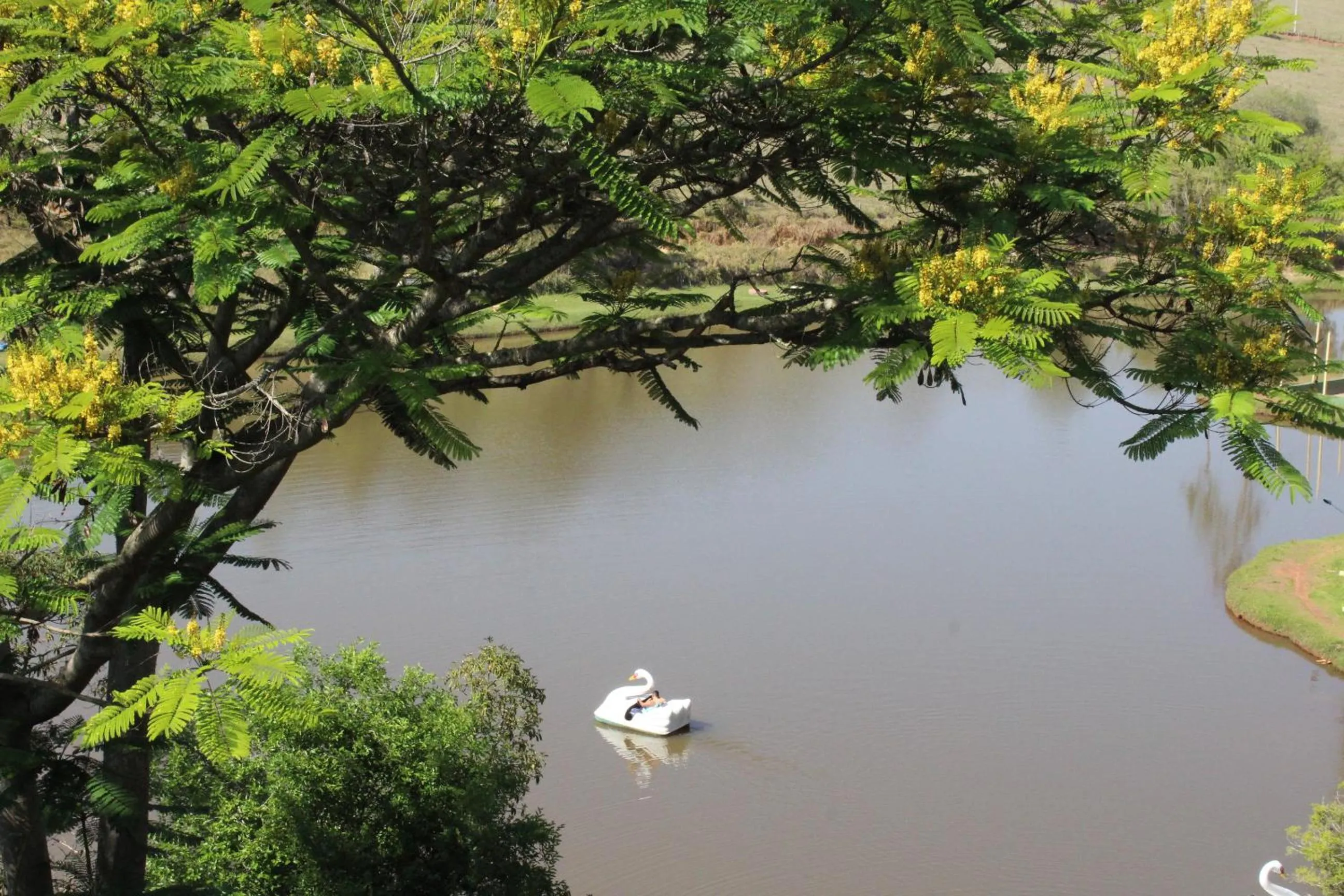 Lake view in Hotel Fazenda Vista Alegre