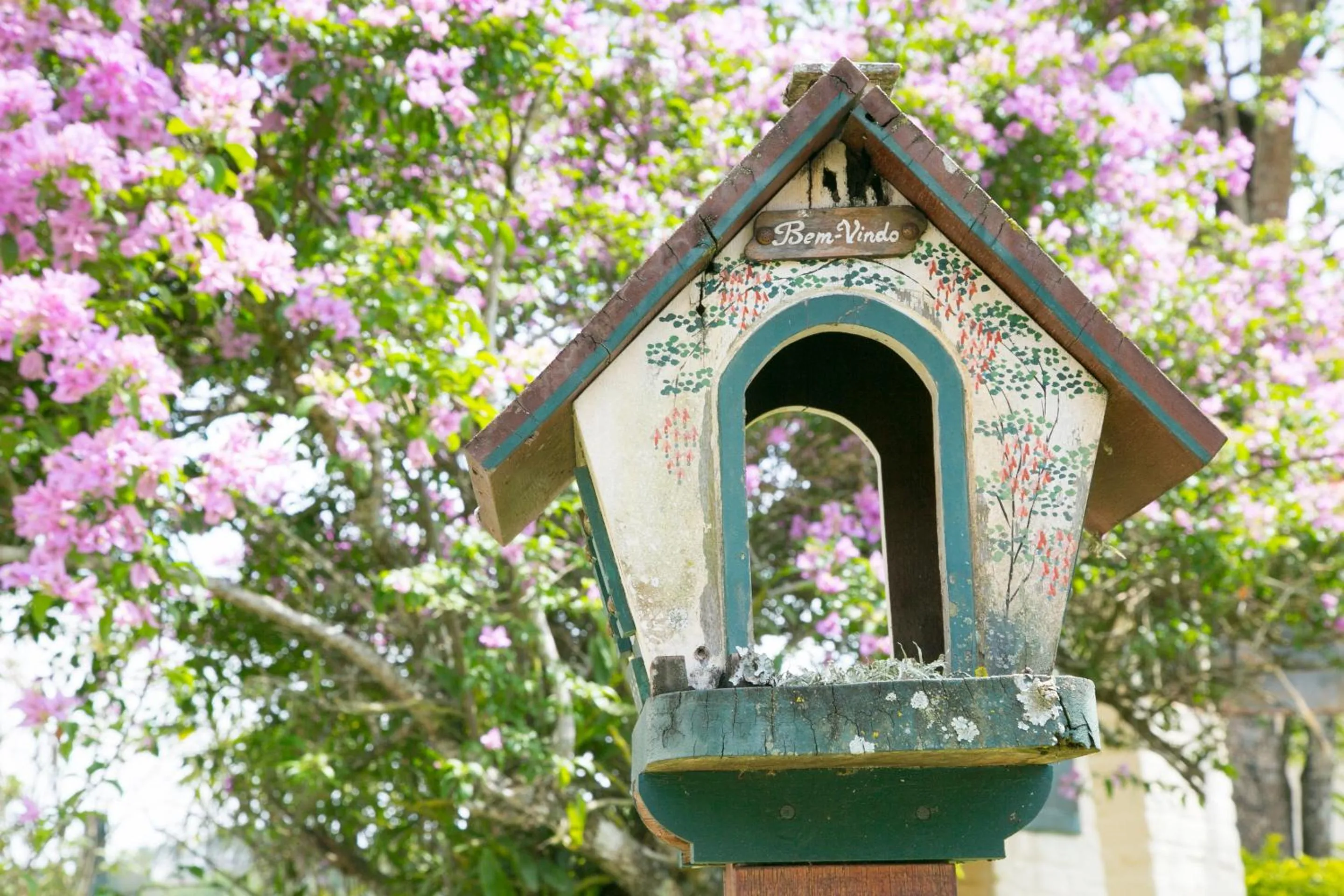 Garden in Hotel Fazenda Vista Alegre