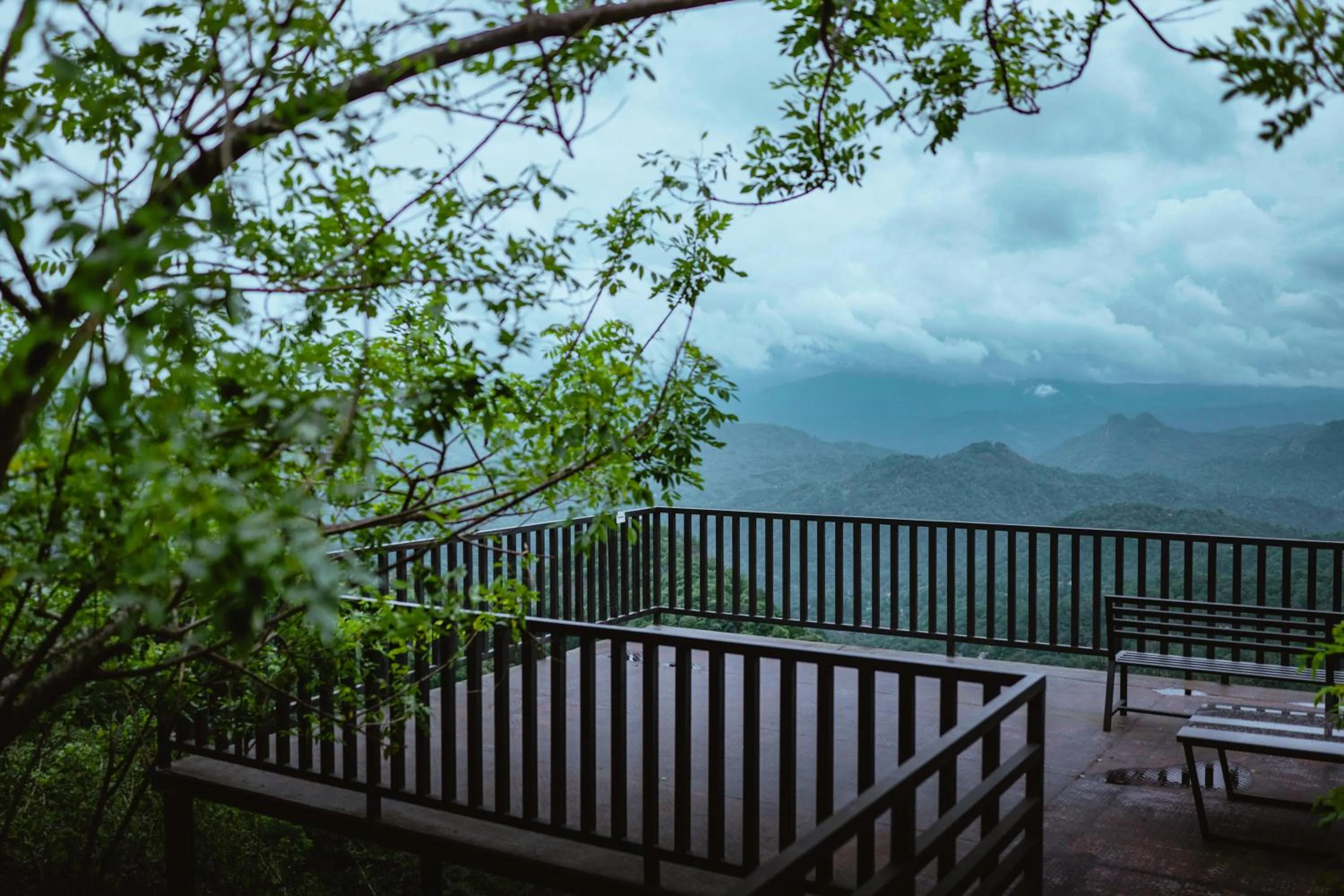 Activities in Haze and Kites Resort Munnar