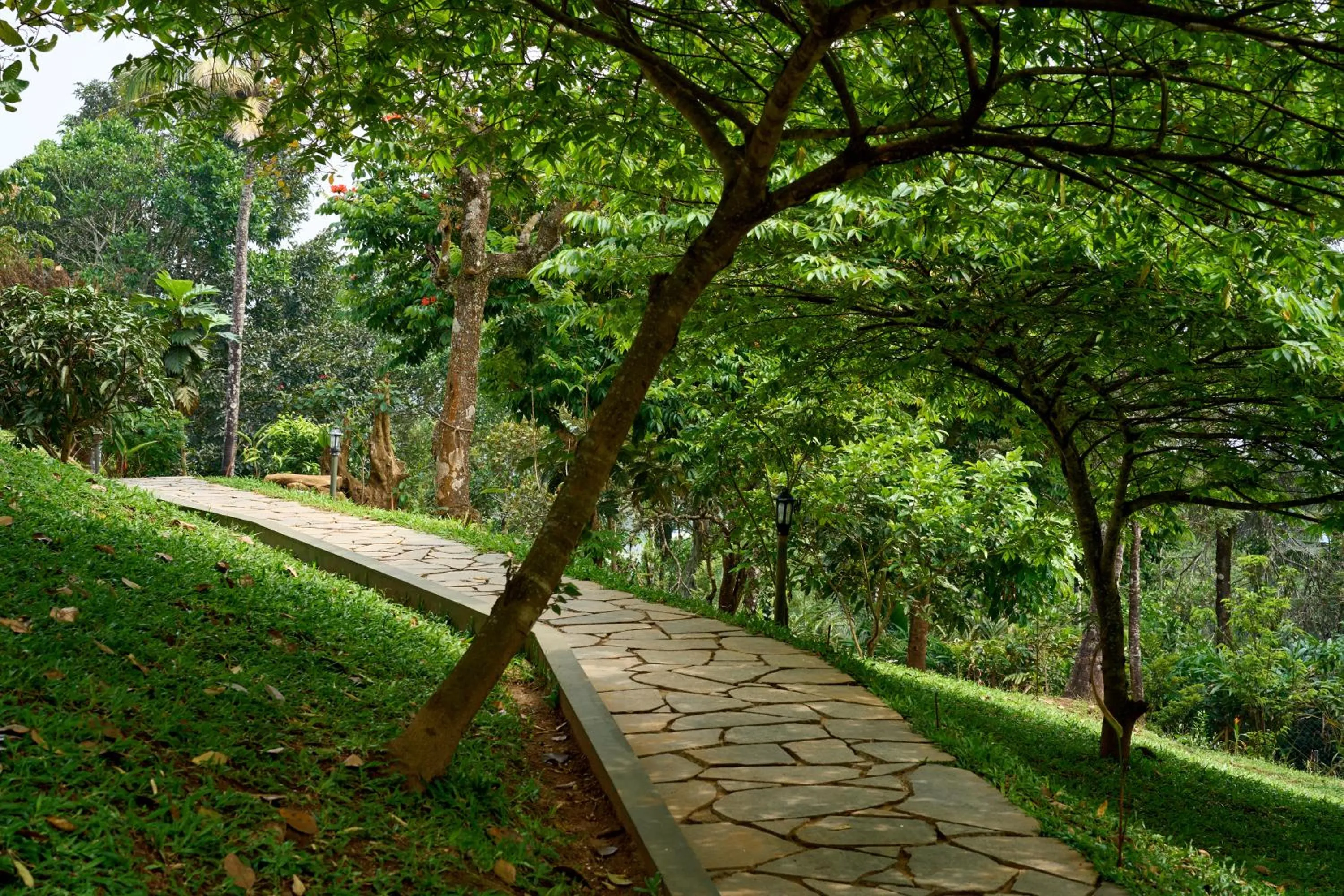 Garden view in Haze and Kites Resort Munnar