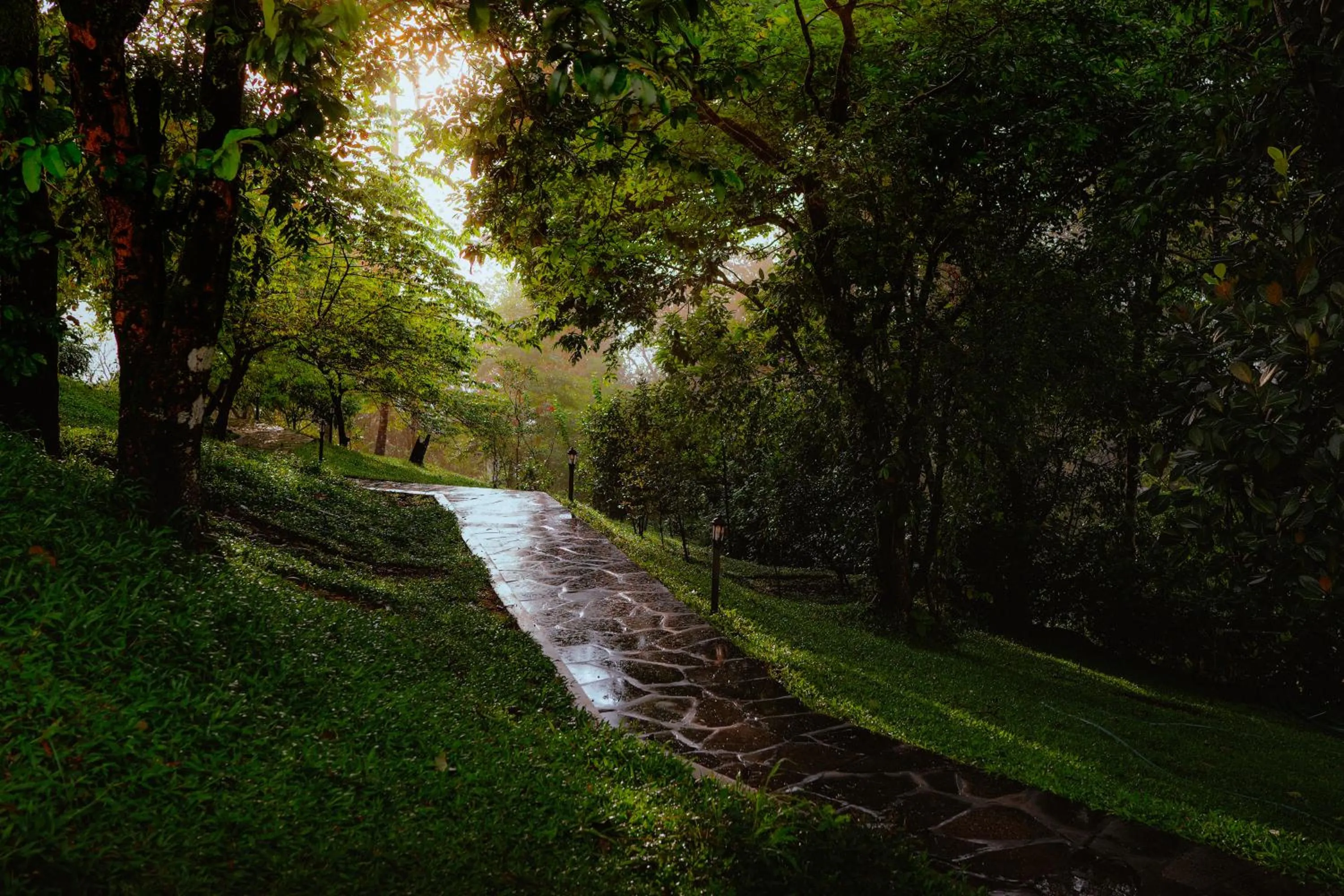 Garden in Haze and Kites Resort Munnar