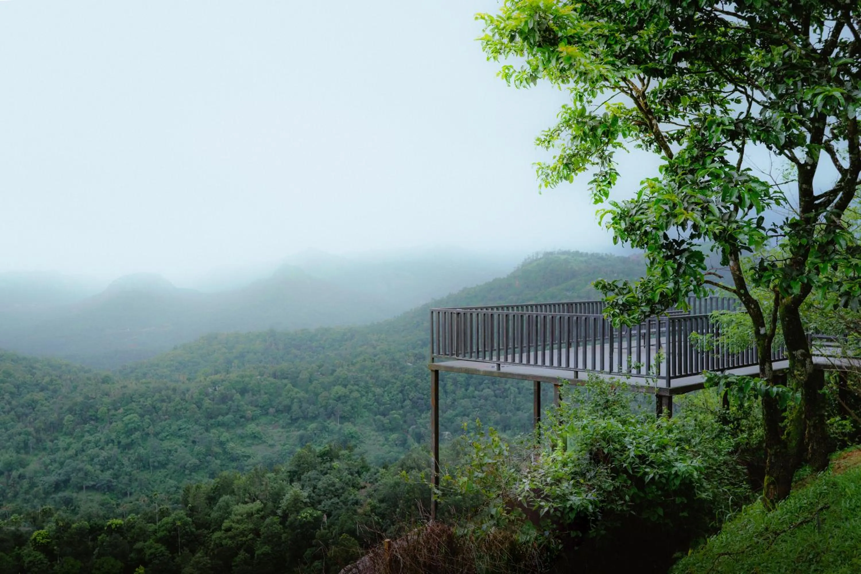 View (from property/room) in Haze and Kites Resort Munnar