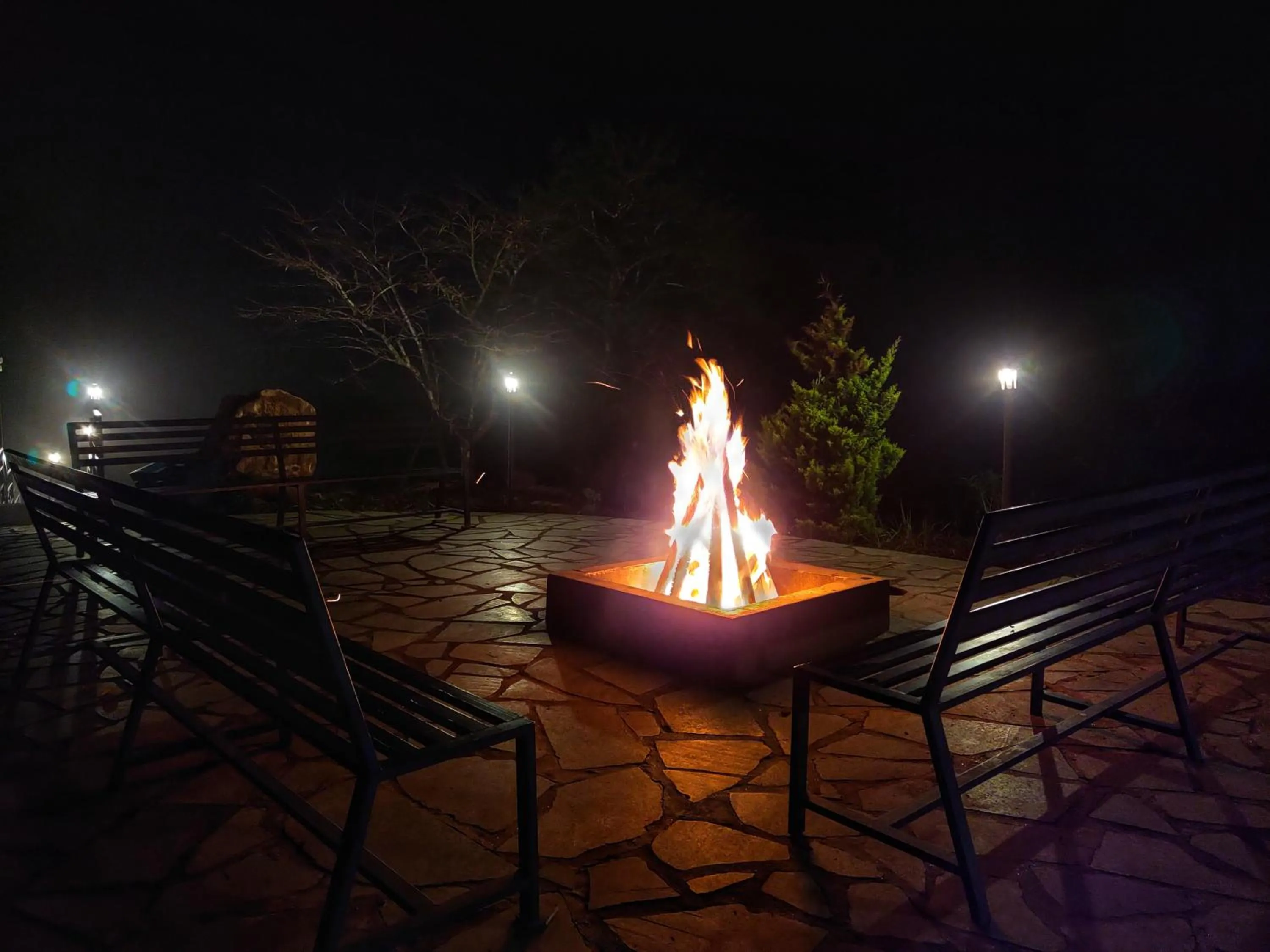 Activities in Haze and Kites Resort Munnar