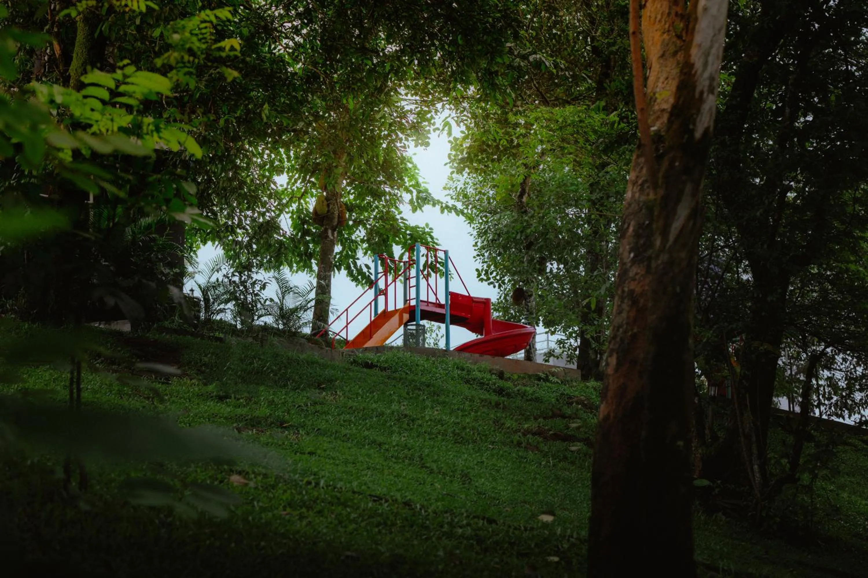 Garden in Haze and Kites Resort Munnar