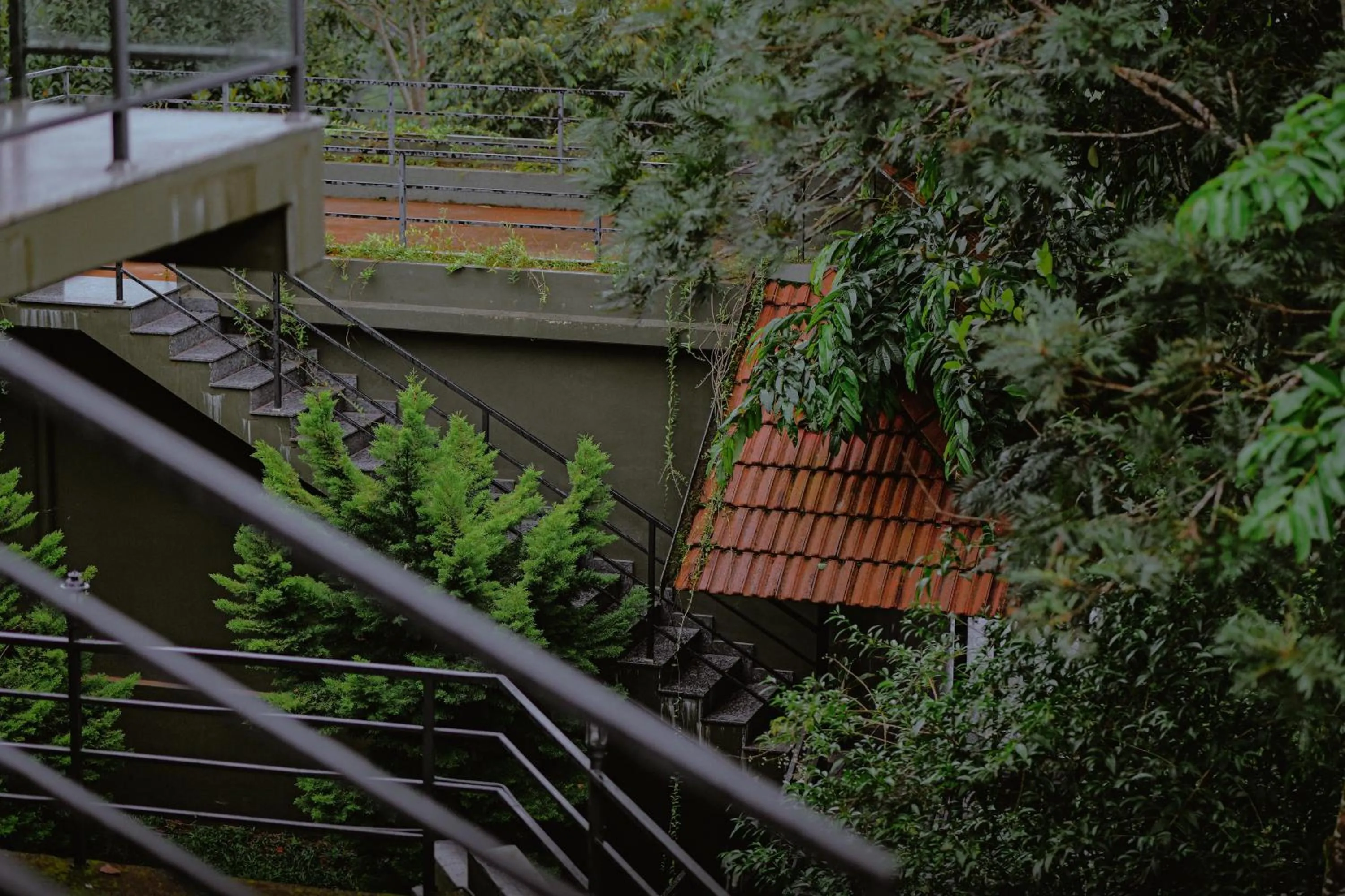 Other in Haze and Kites Resort Munnar