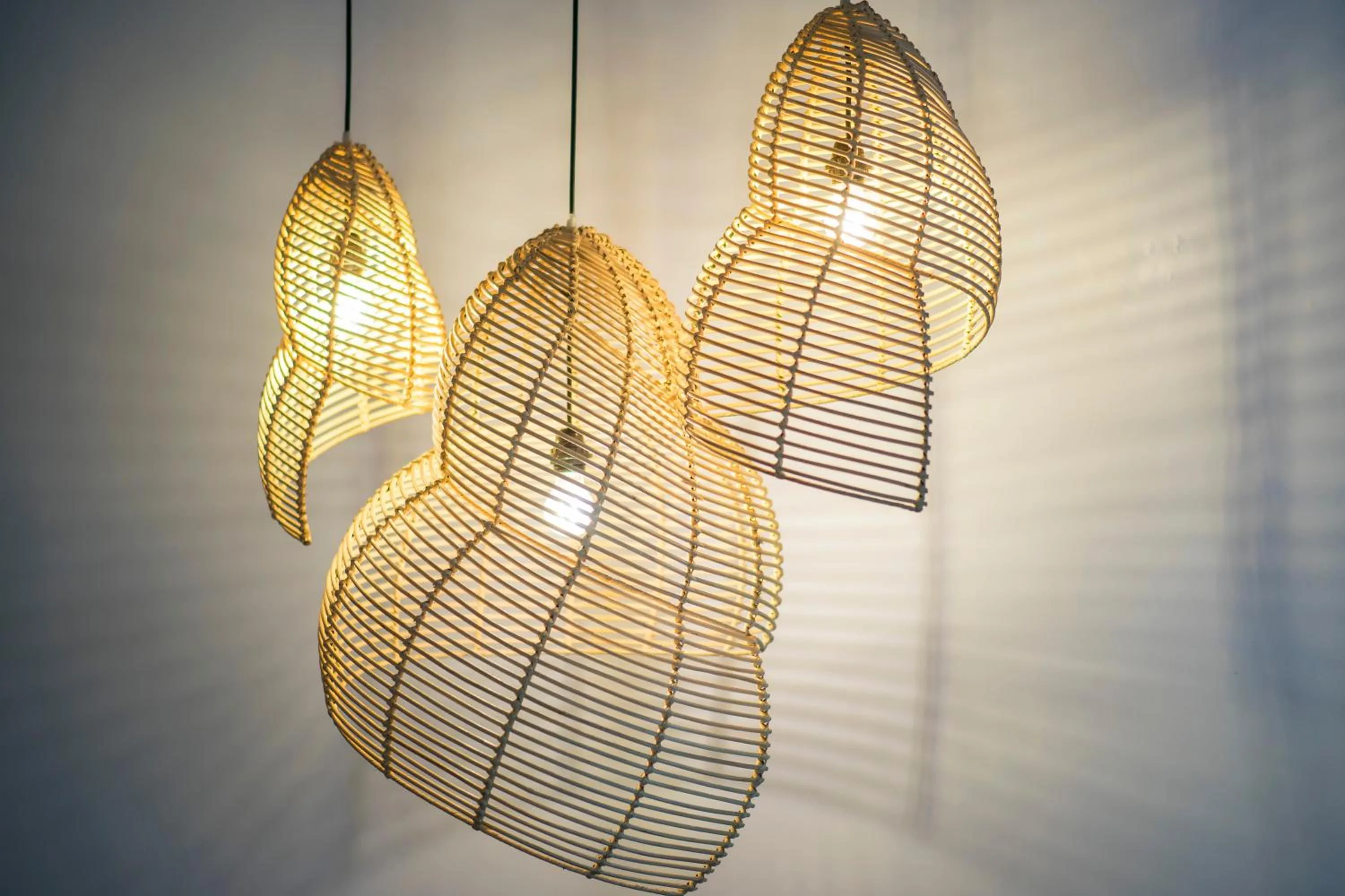 Area and facilities in Tanaya Bed & Breakfast