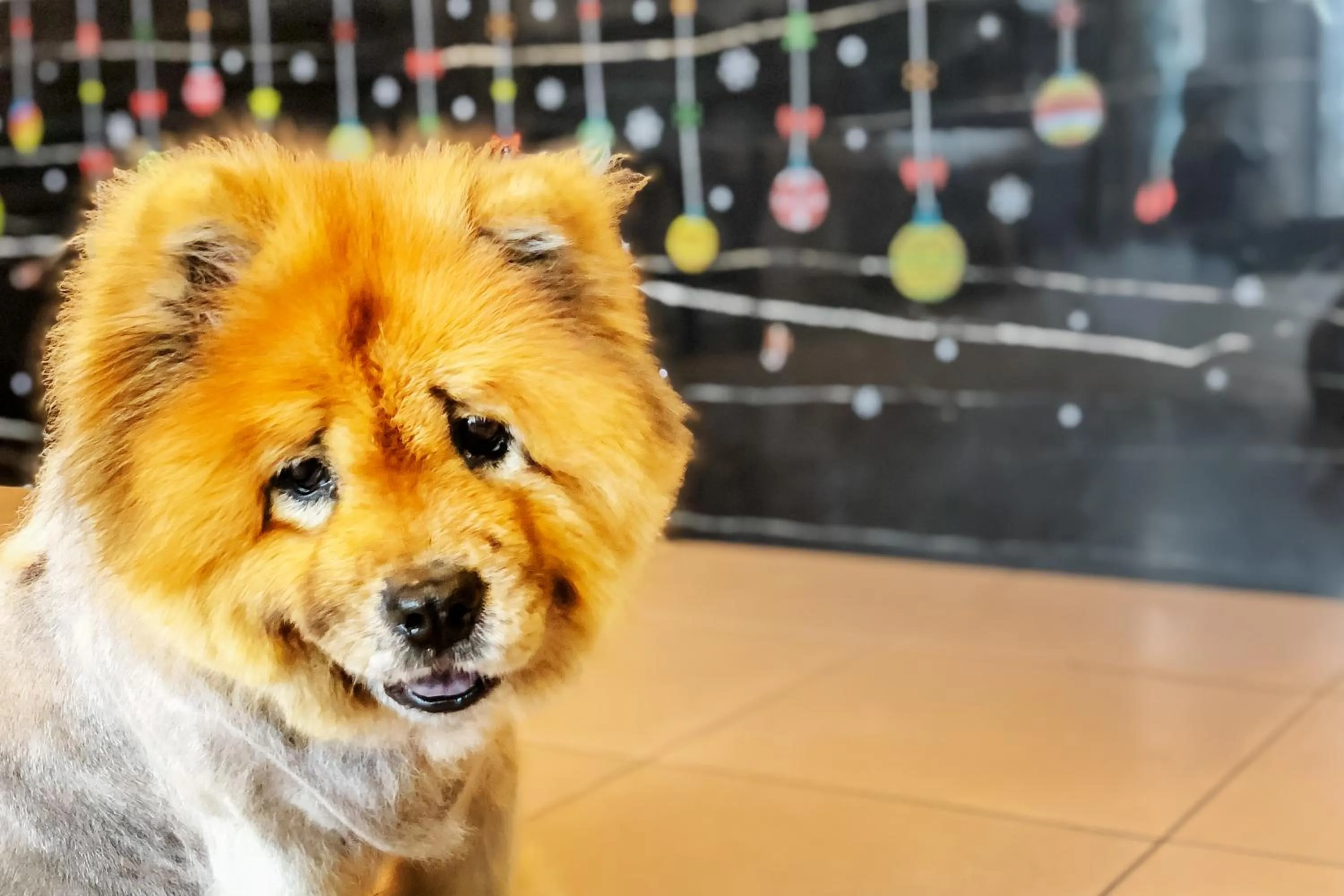 Lobby or reception in Taitung Spring Homestay B&B