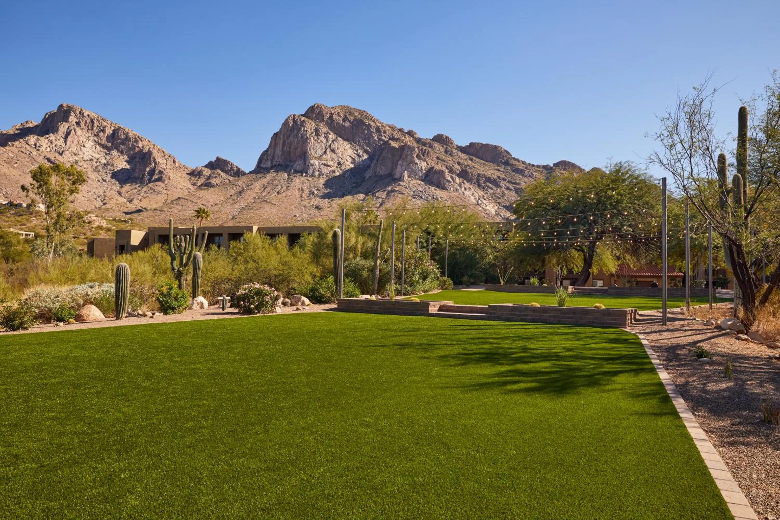 Natural landscape in El Conquistador Tucson, A Hilton Resort