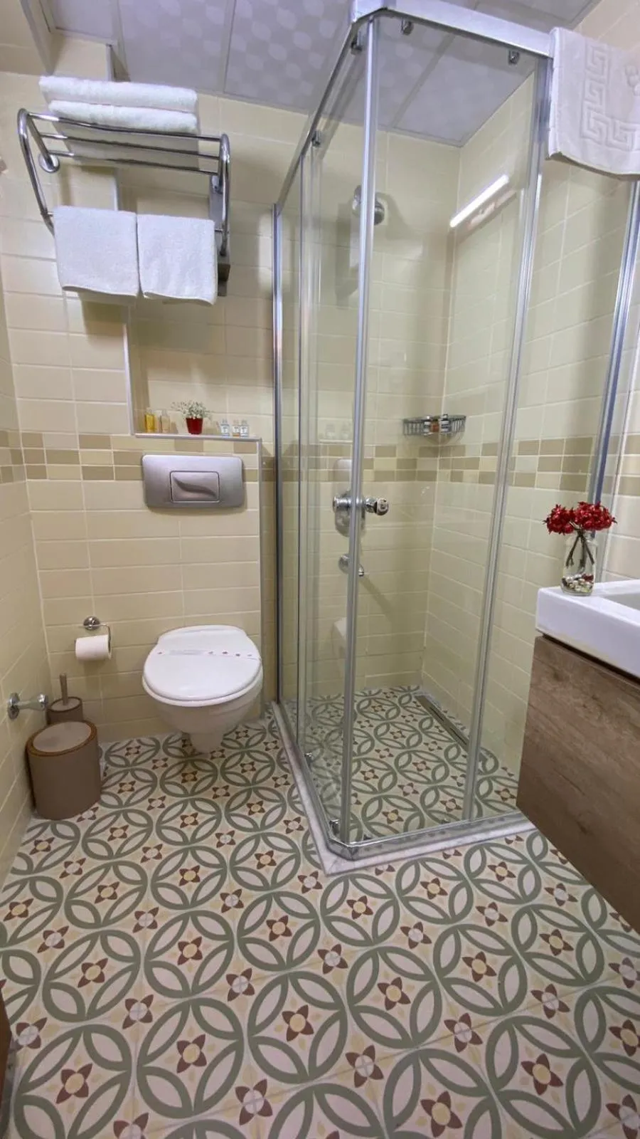 Shower in Hotel Pelit