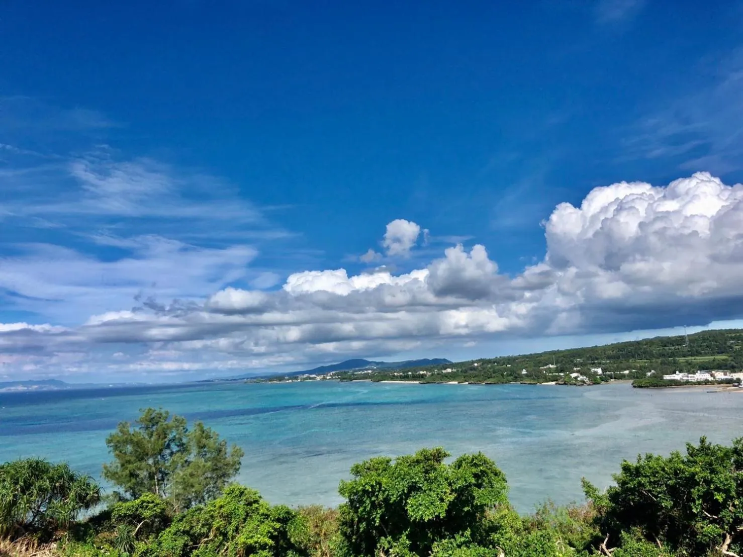Day in Blue Steak Wonder Nagahama