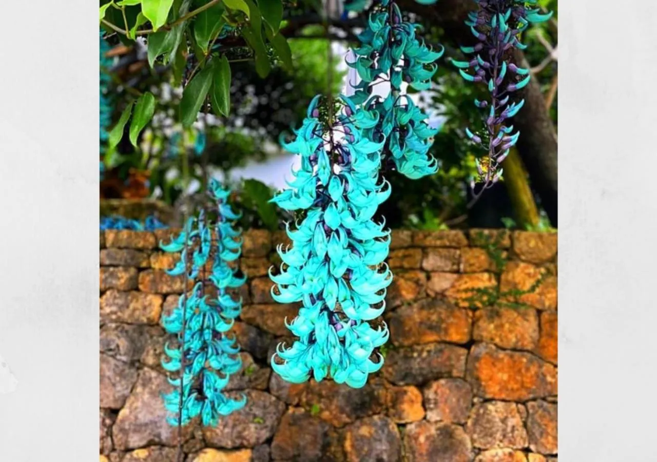 Nearby landmark in Blue Steak Wonder Nagahama