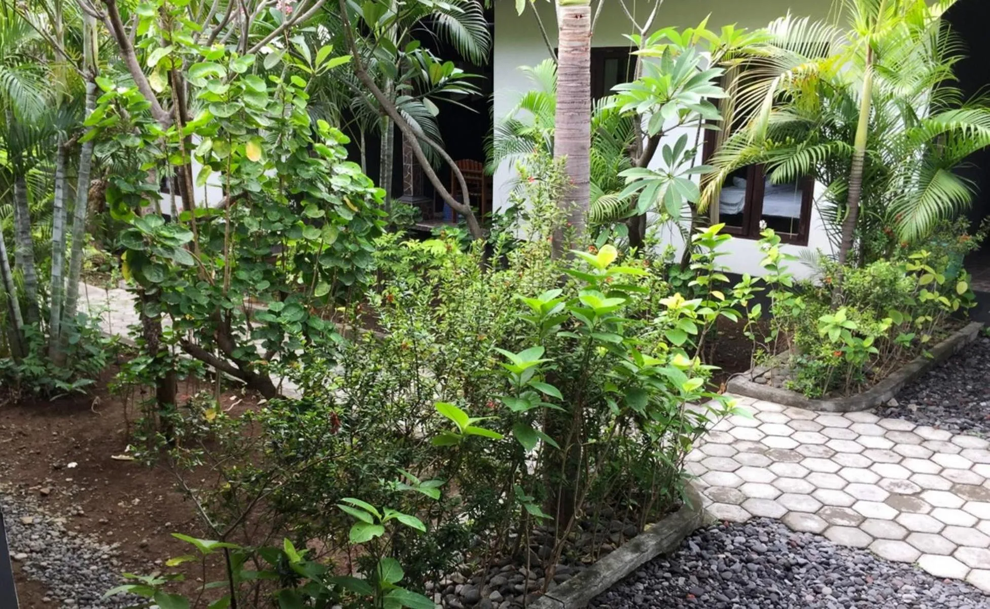 Garden in Scuba Tribe Bali dive-resort