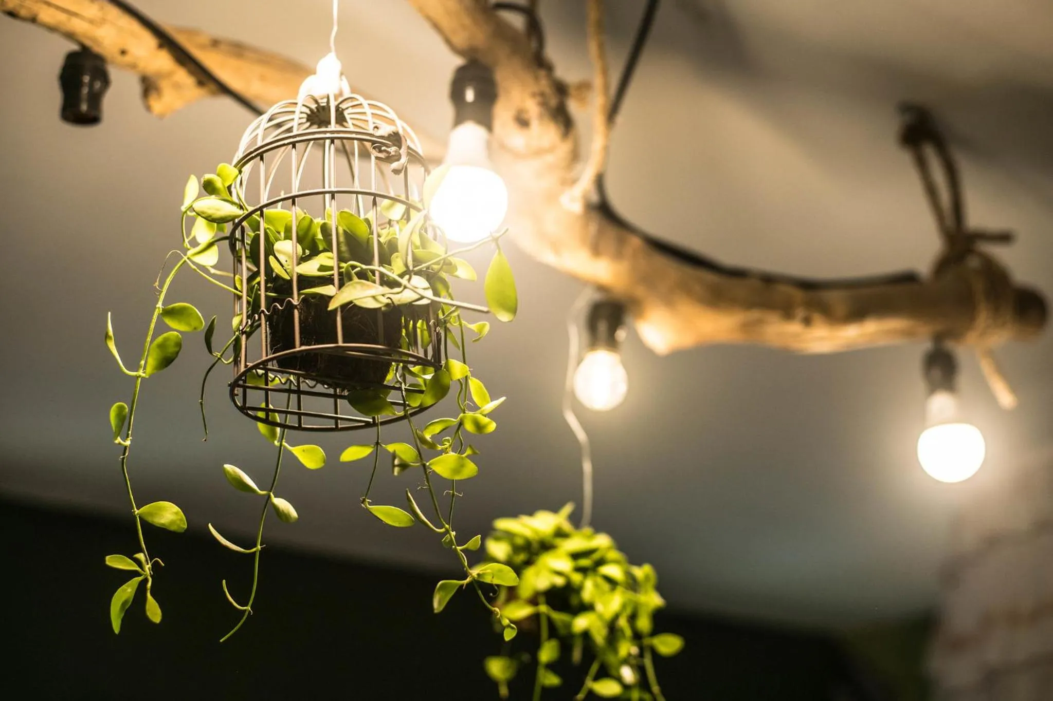 Nego Home Ancient Inn