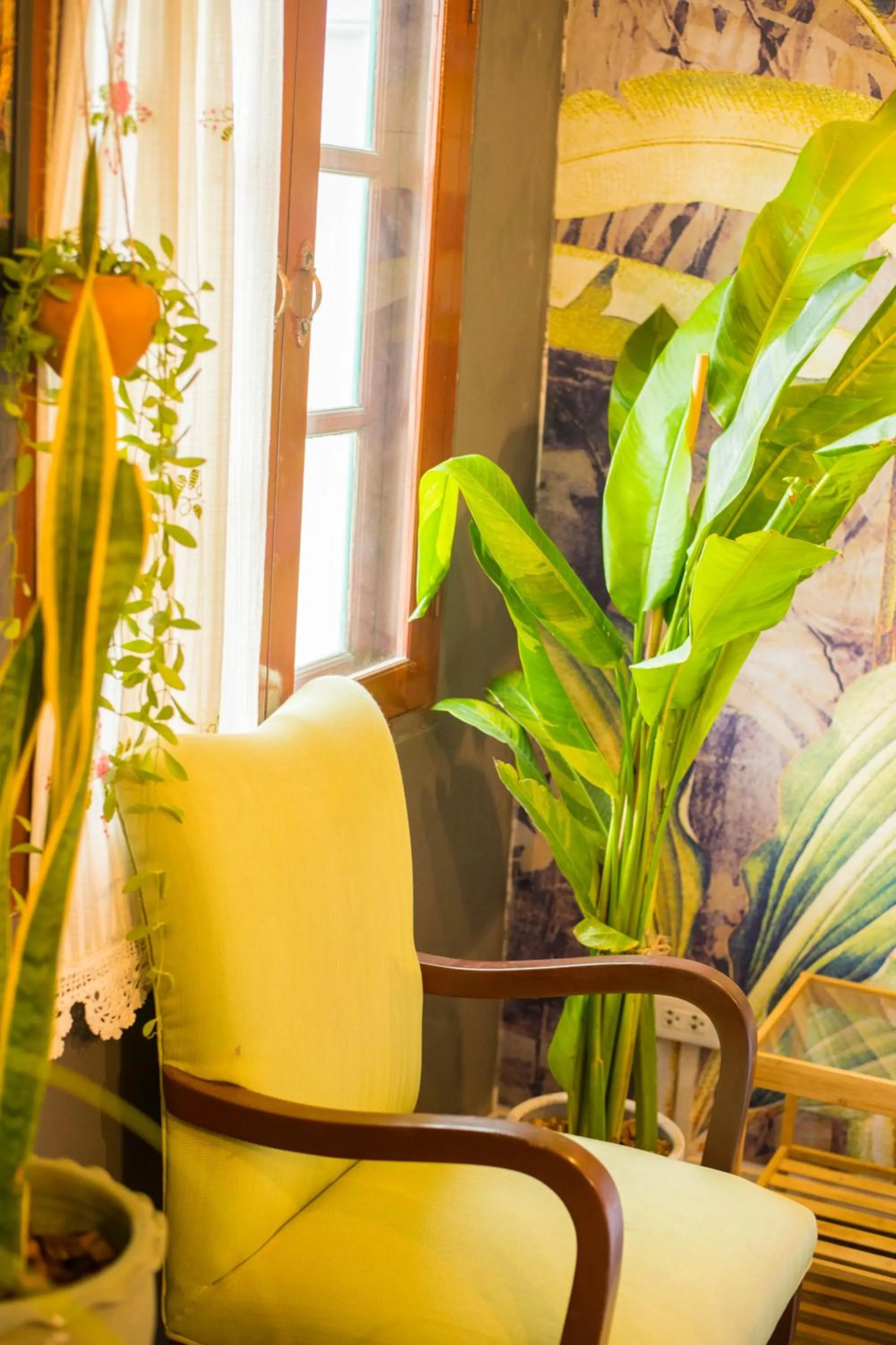 Nego Home Ancient Inn