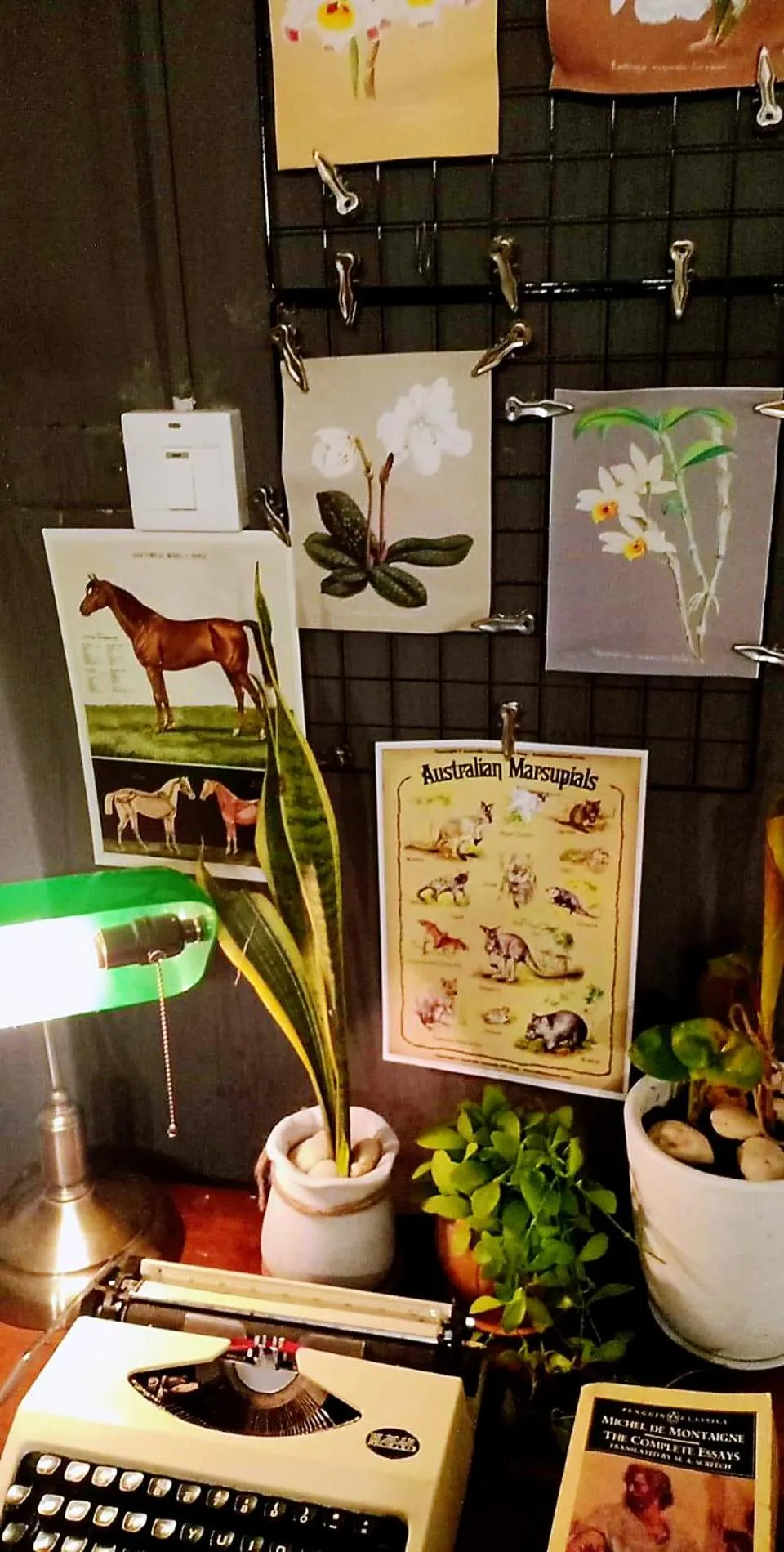 Nego Home Ancient Inn