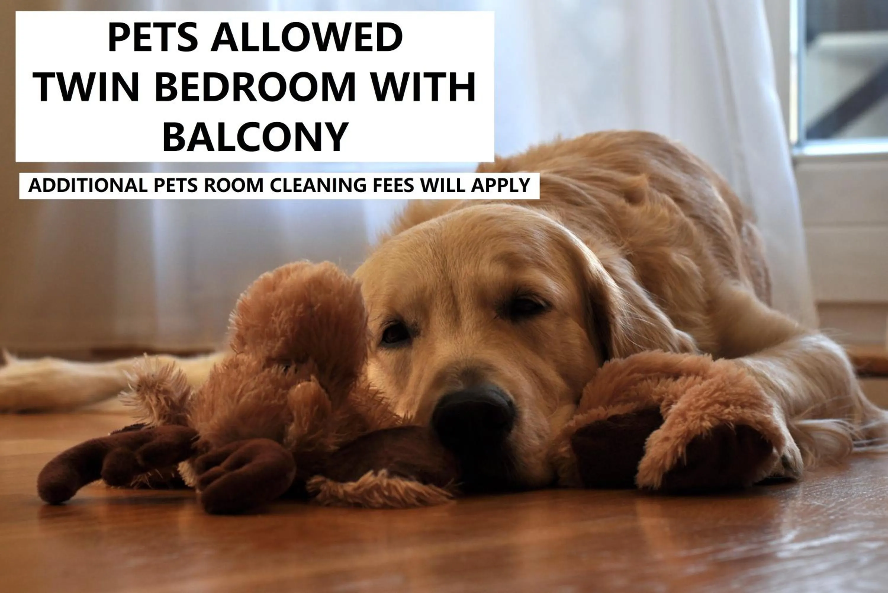 Nego Home Ancient Inn