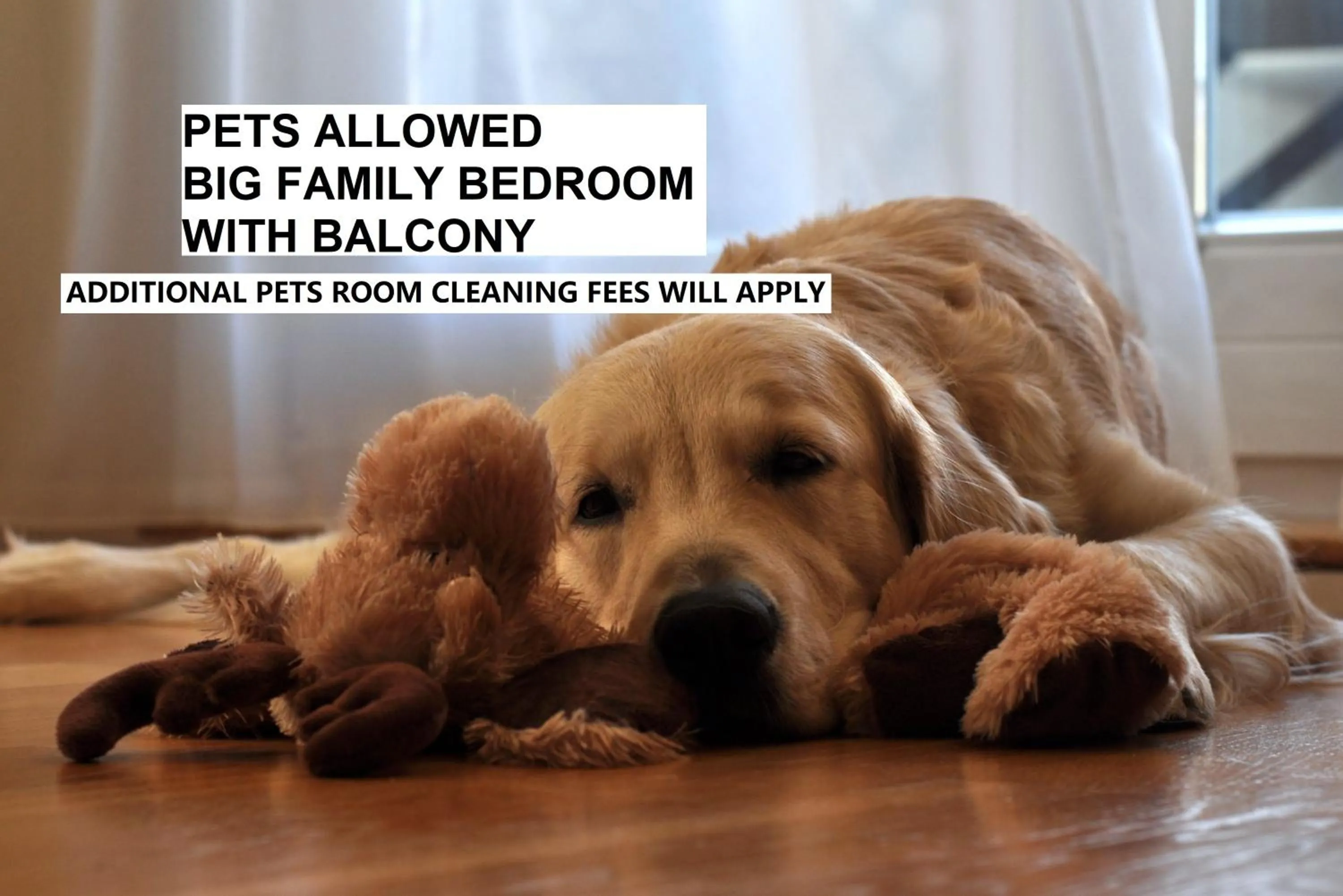 Nego Home Ancient Inn