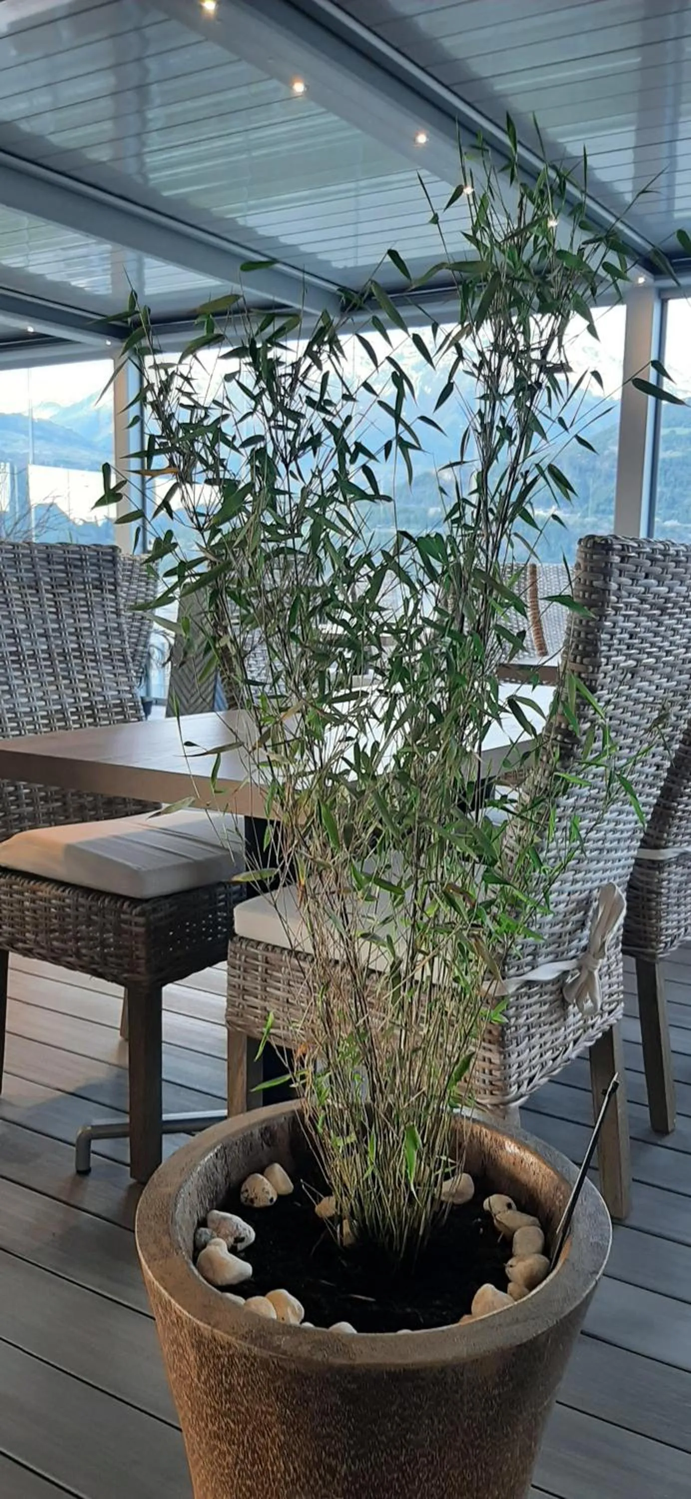 Restaurant/places to eat in Hôtel Les Flots Bleus