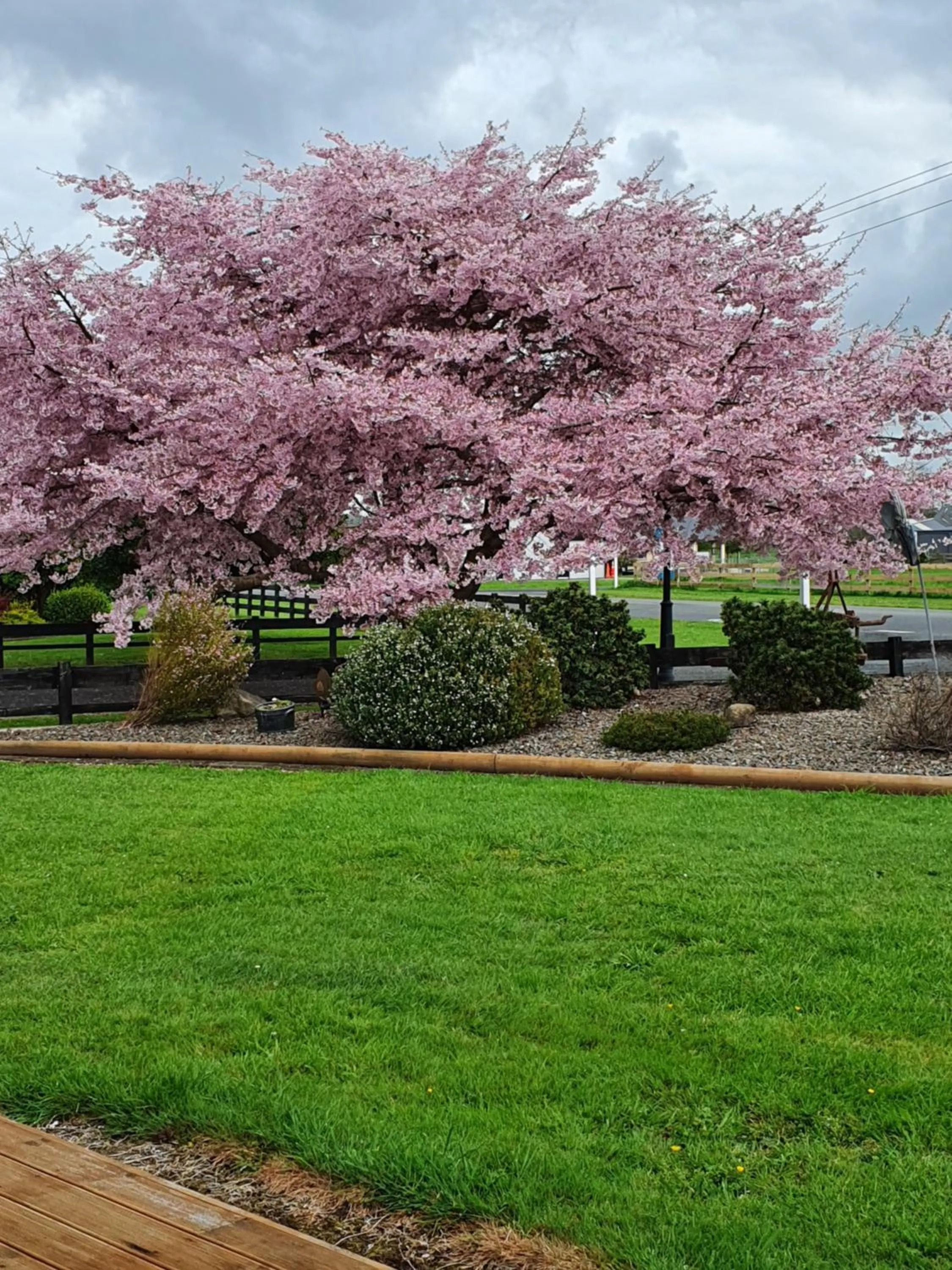 Spring in Denchys B&B