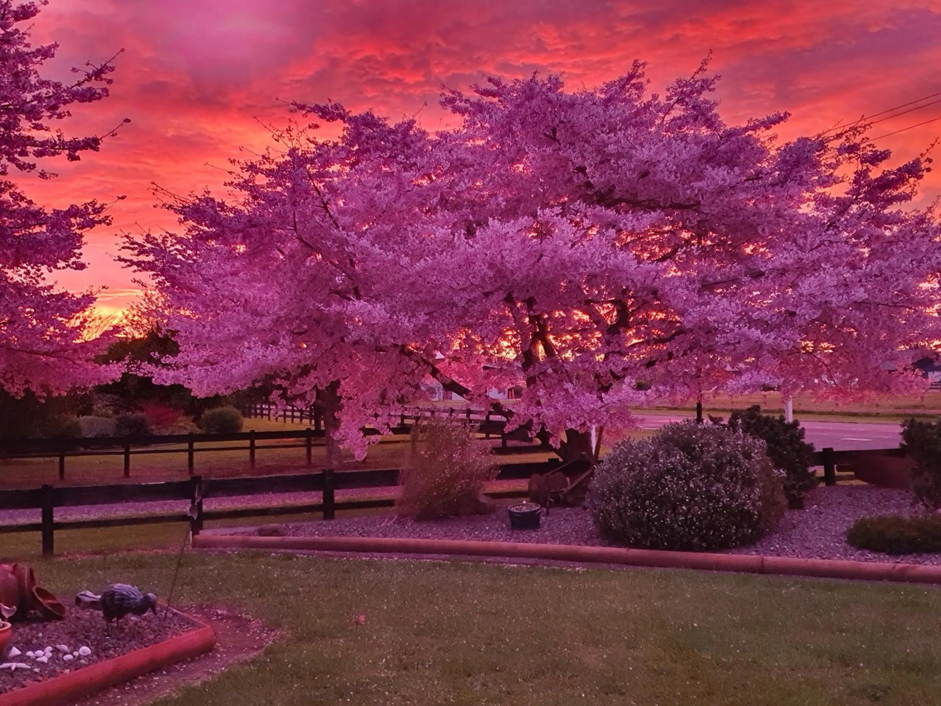 Spring in Denchys B&B