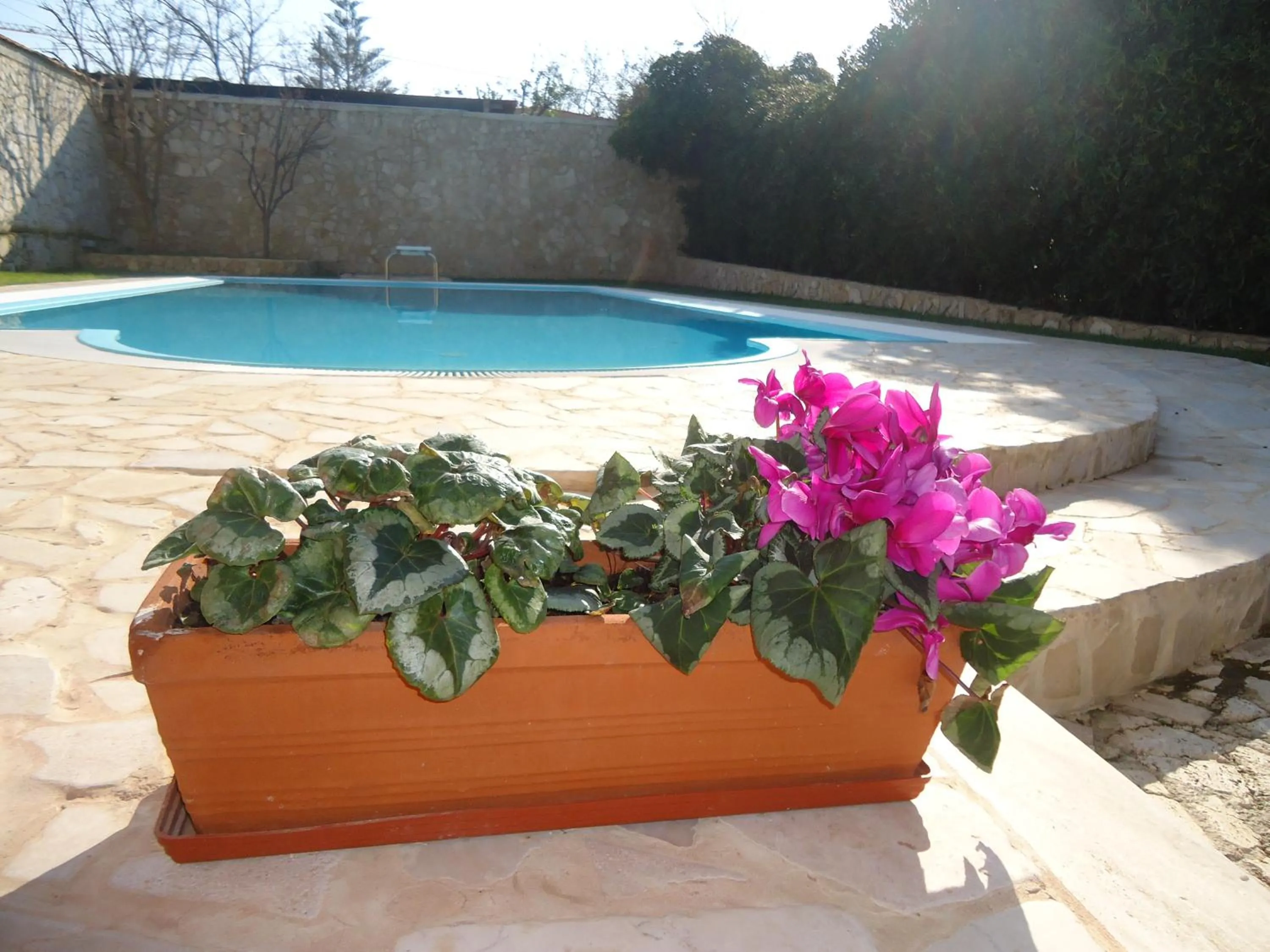 Swimming pool in Villa Dafne