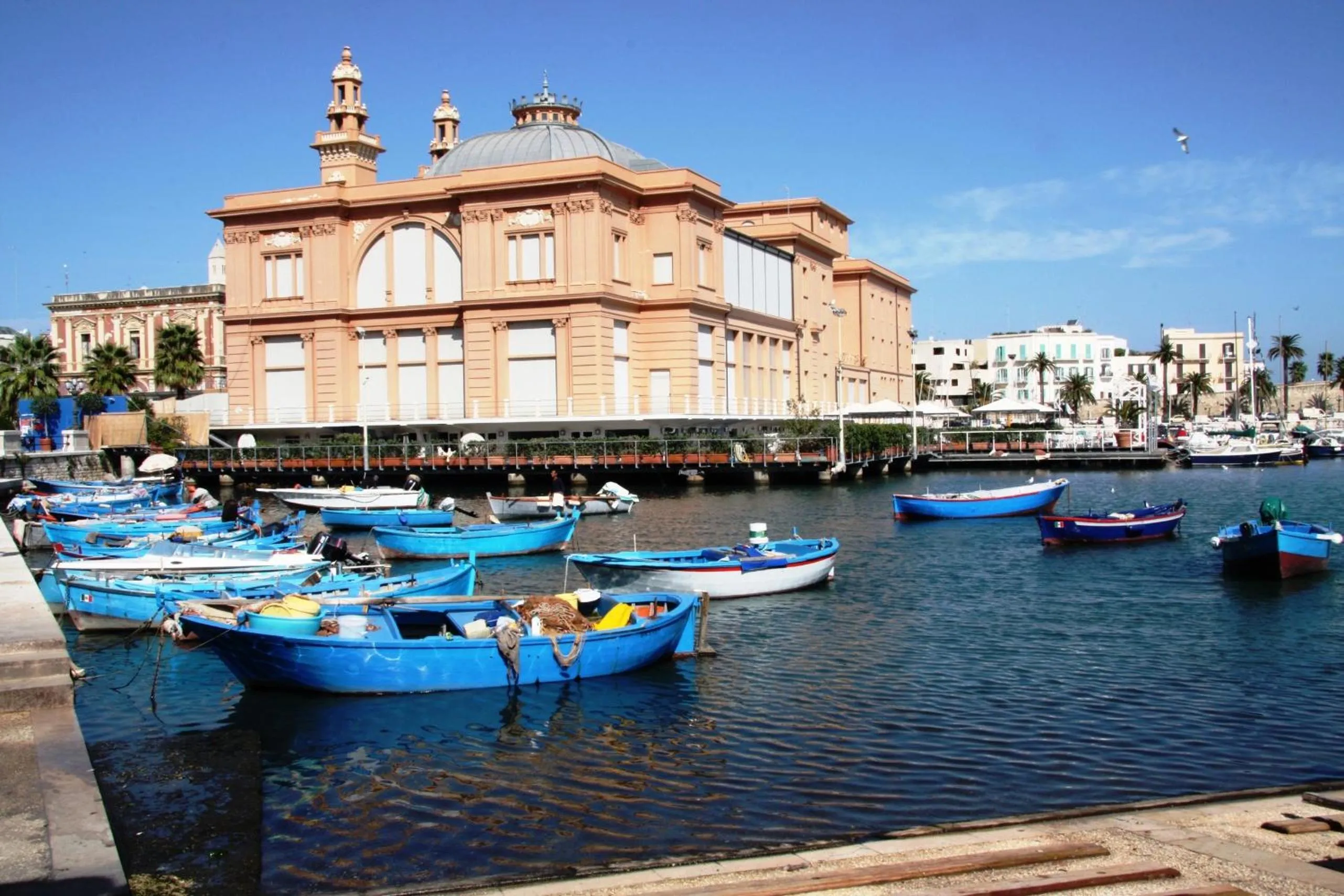 Area and facilities in Villa Dafne