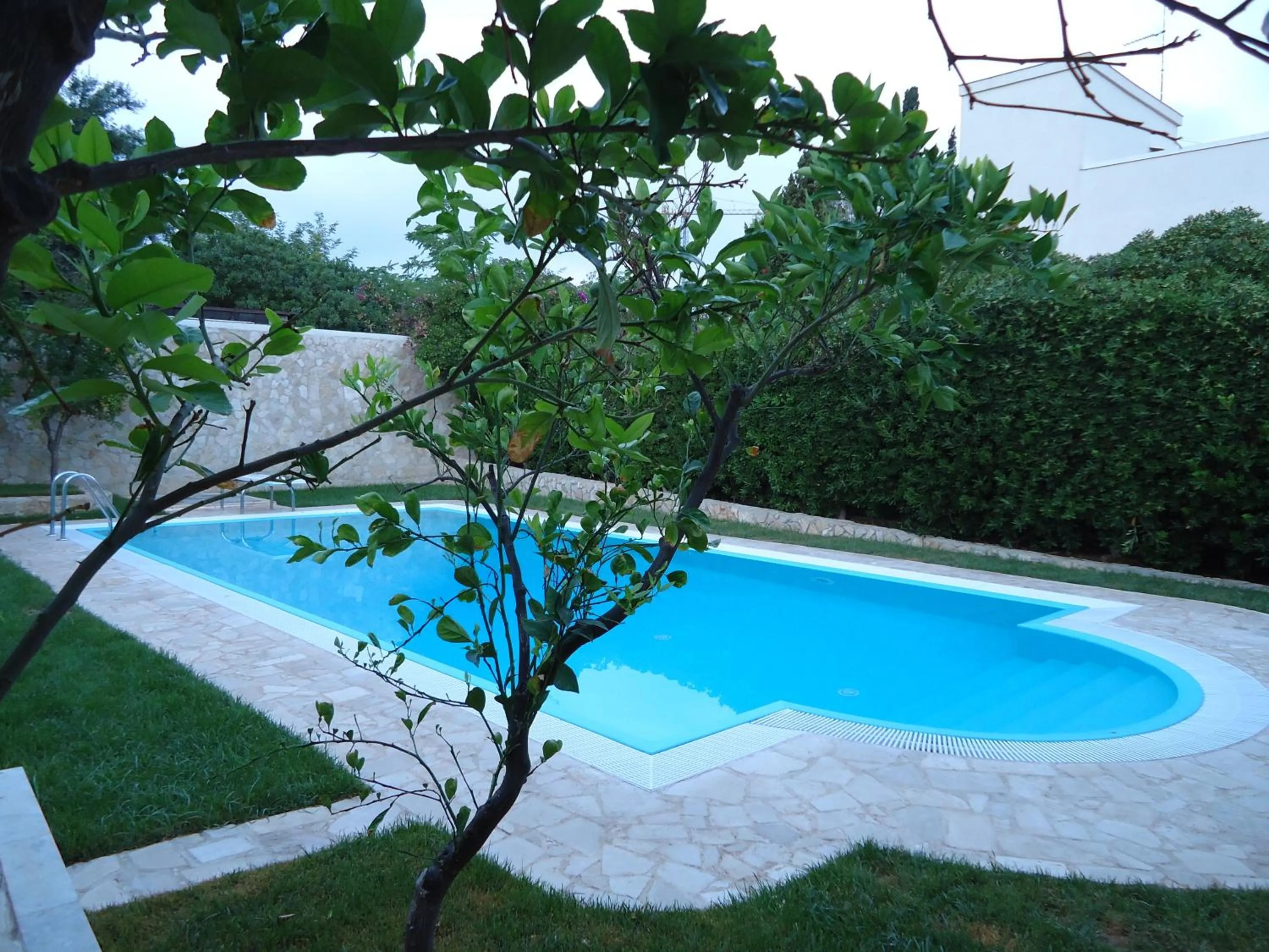 Swimming pool in Villa Dafne