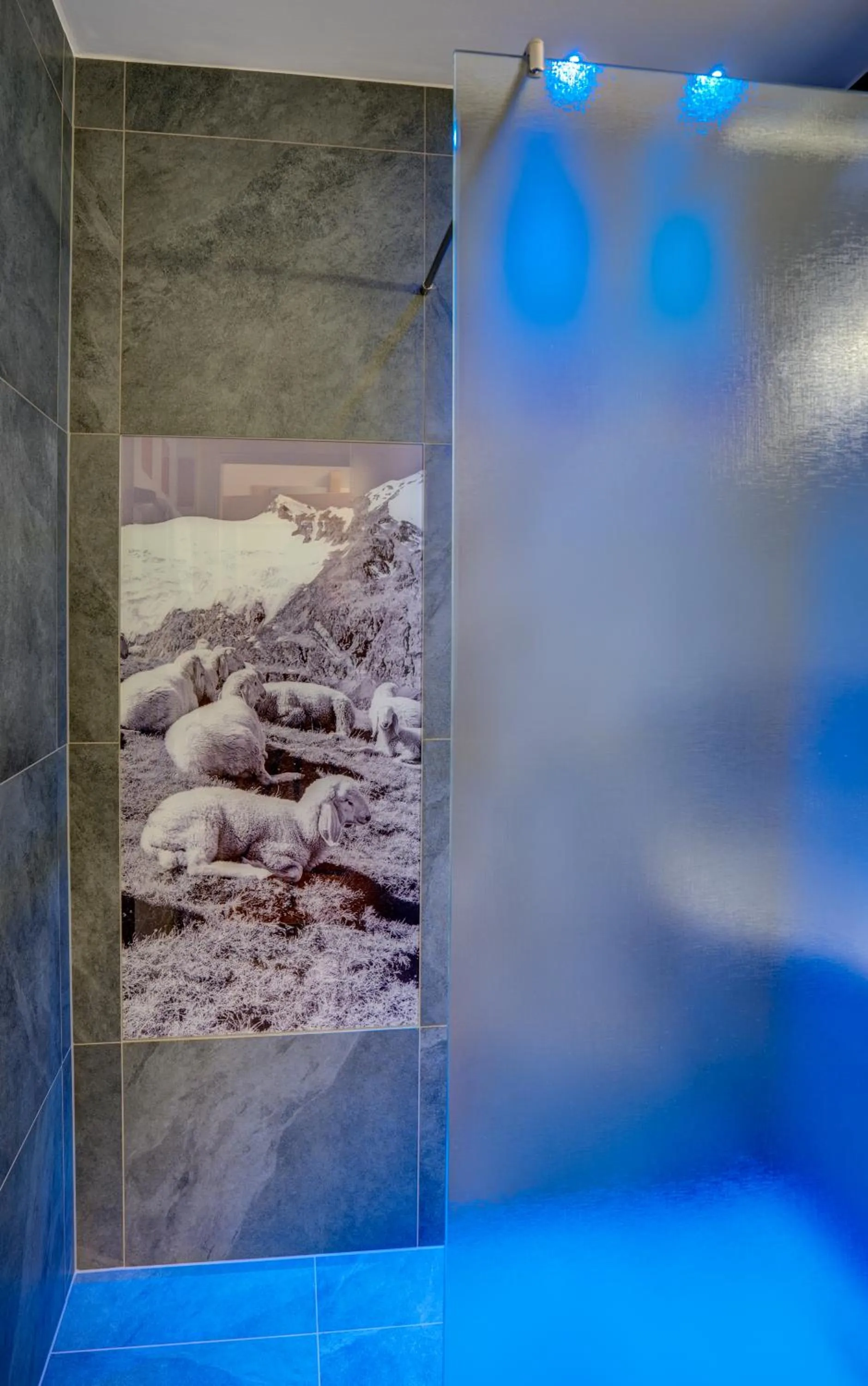 Bathroom in Alpenbad Hotel Hohenhaus