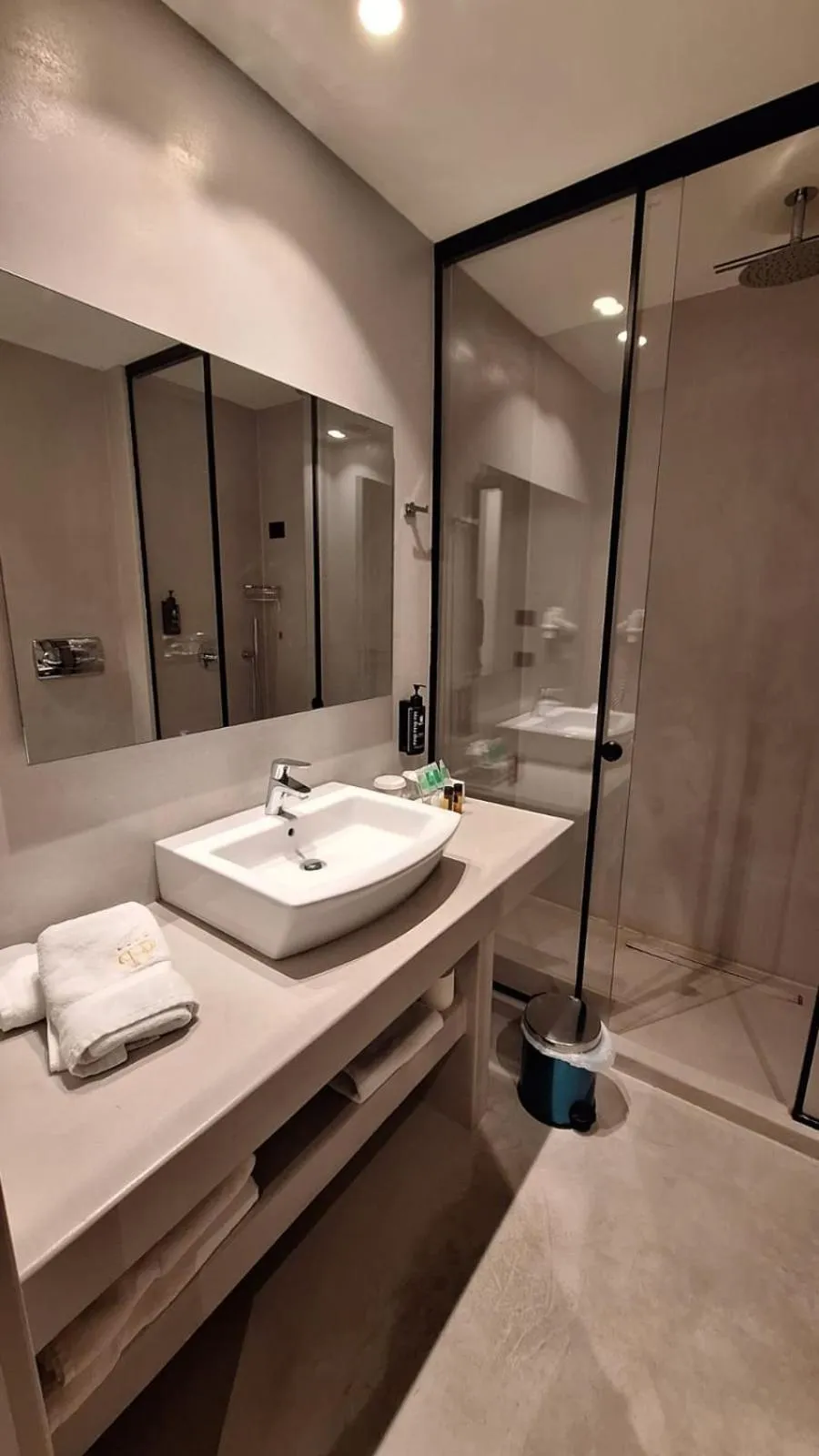 Shower in Hotel Partner & SPA