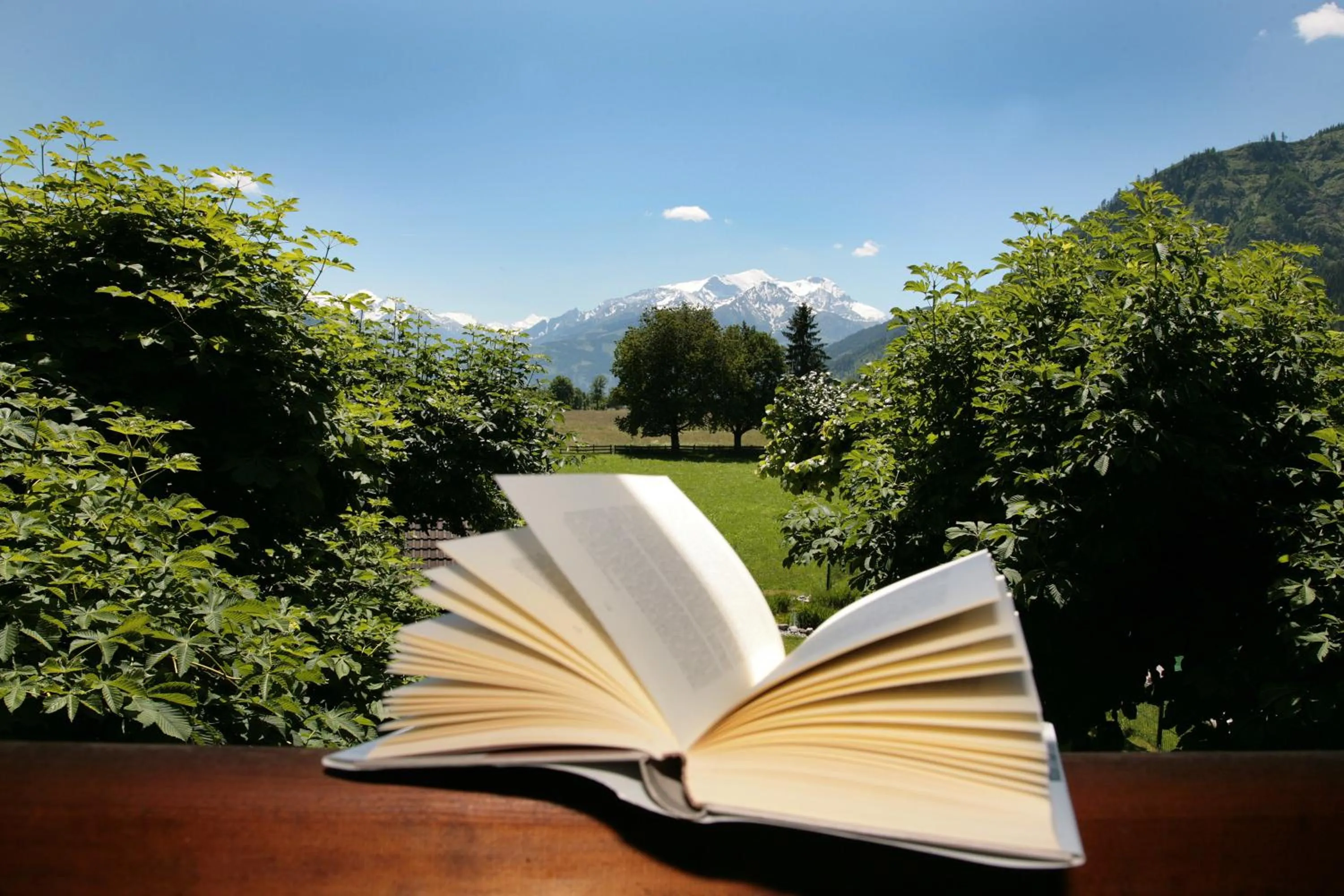 View (from property/room) in Gasthof zur Post