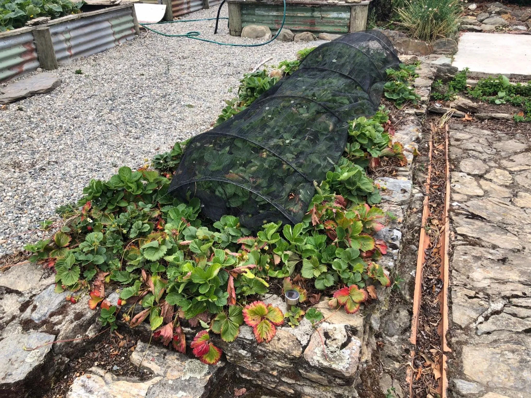 Breakfast in Granny Stringer’s Cottage