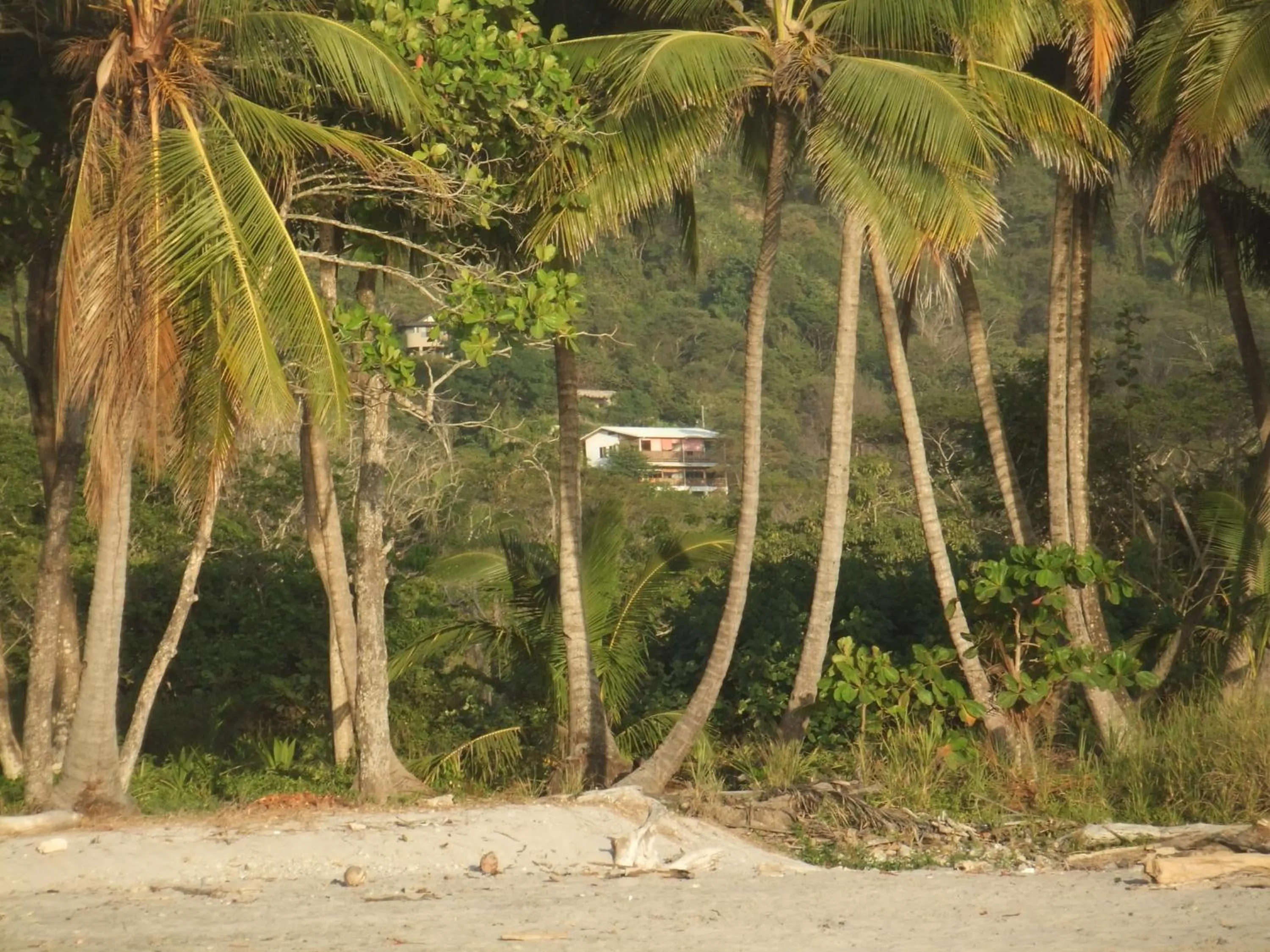 View (from property/room) in Vista Naranja Ocean View House