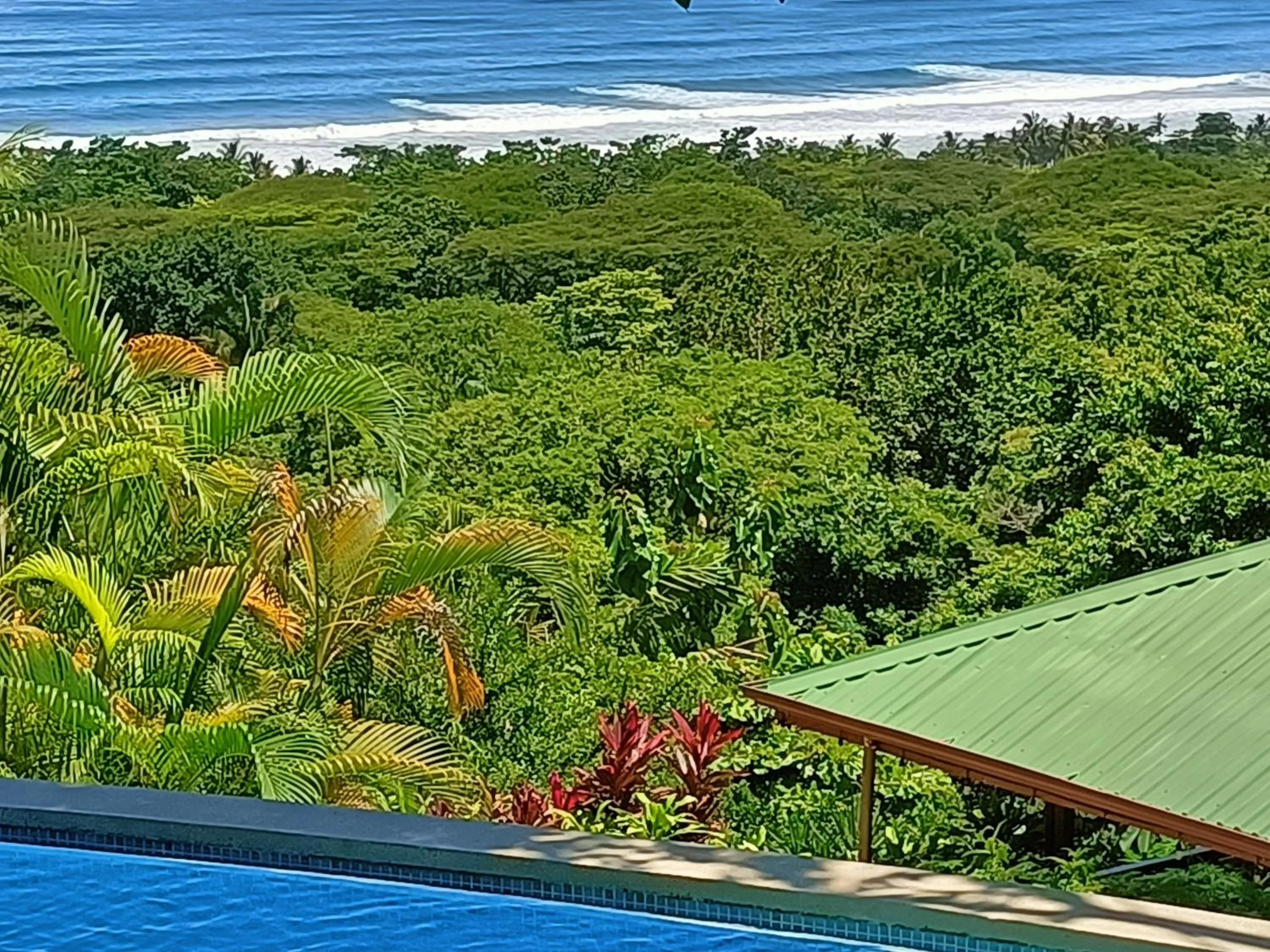Swimming pool in Vista Naranja Ocean View House
