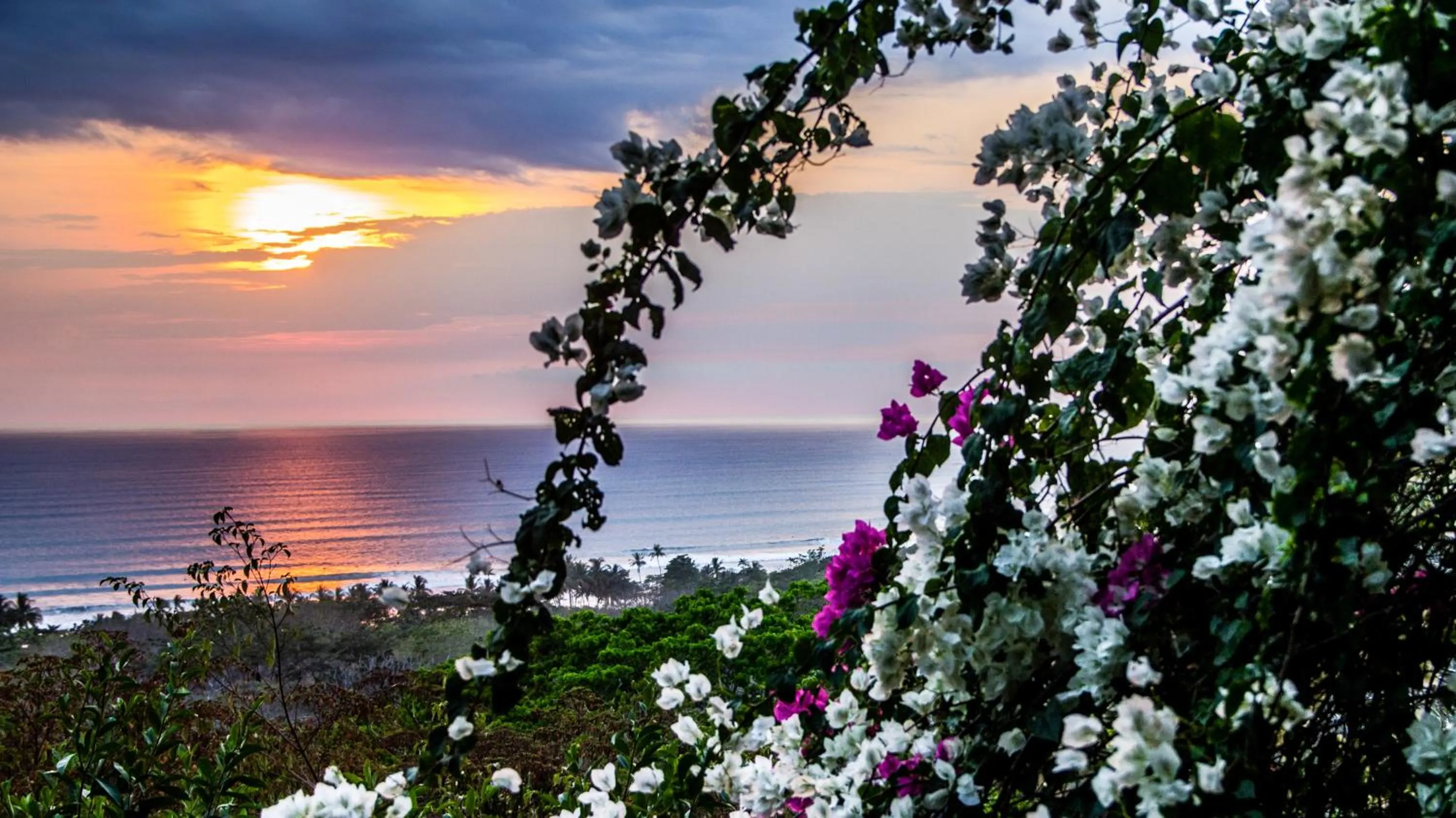 Photo of the whole room in Vista Naranja Ocean View House