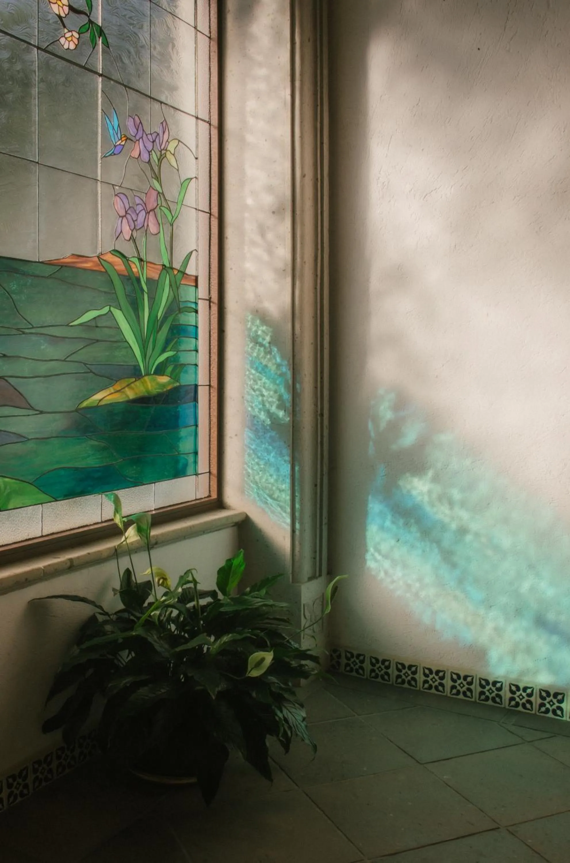 La Buena Vibra Wellness Resort & Spa